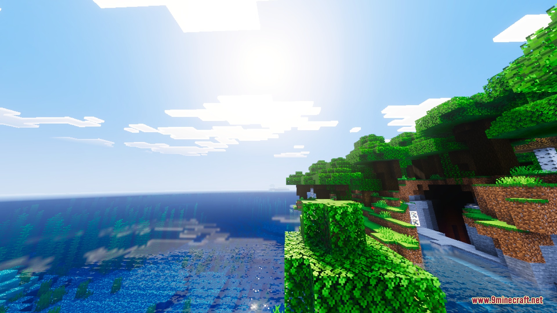 Lush green forest on a cliff overlooking the ocean under a bright sun