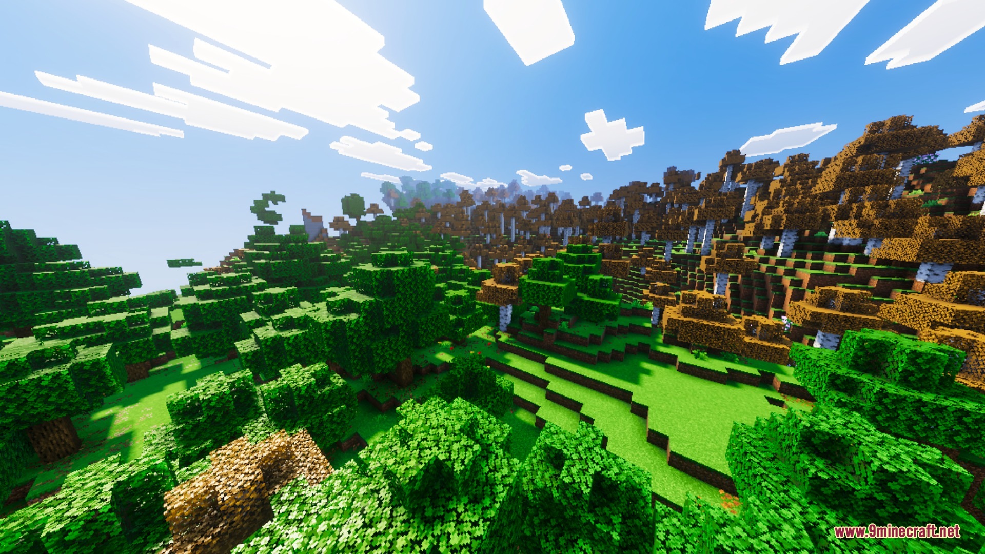 Lush green and orange forest landscape with soft shadows and warm bright sunlight
