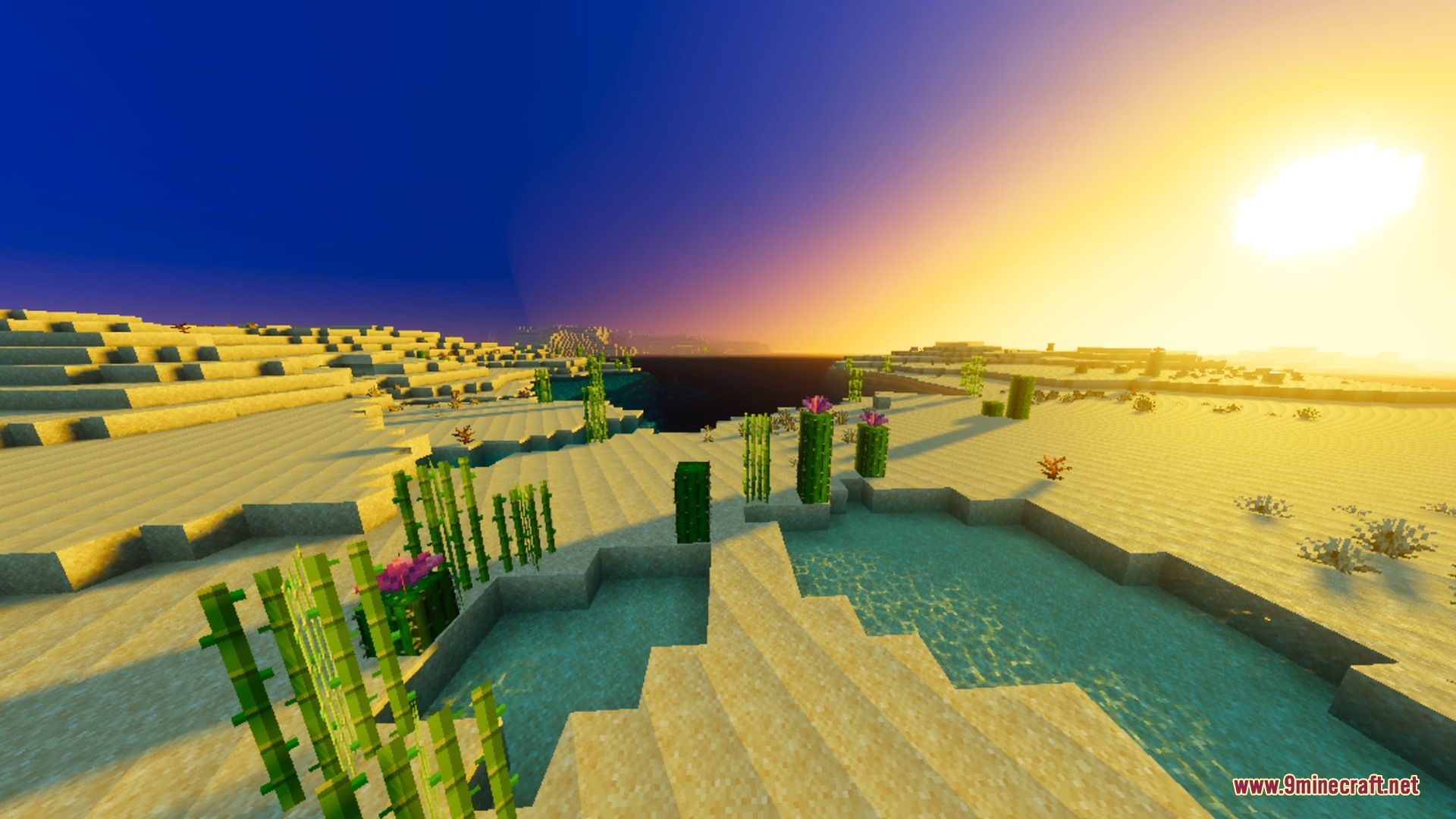 Warm sunset lighting over a desert landscape with water and sugar cane