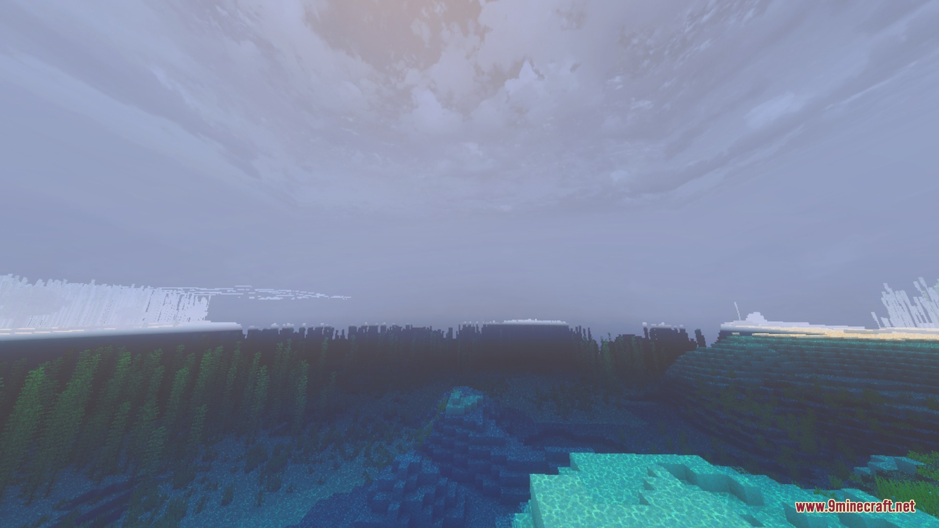 Underwater view of kelp and sea grass with a bright minimal sky above