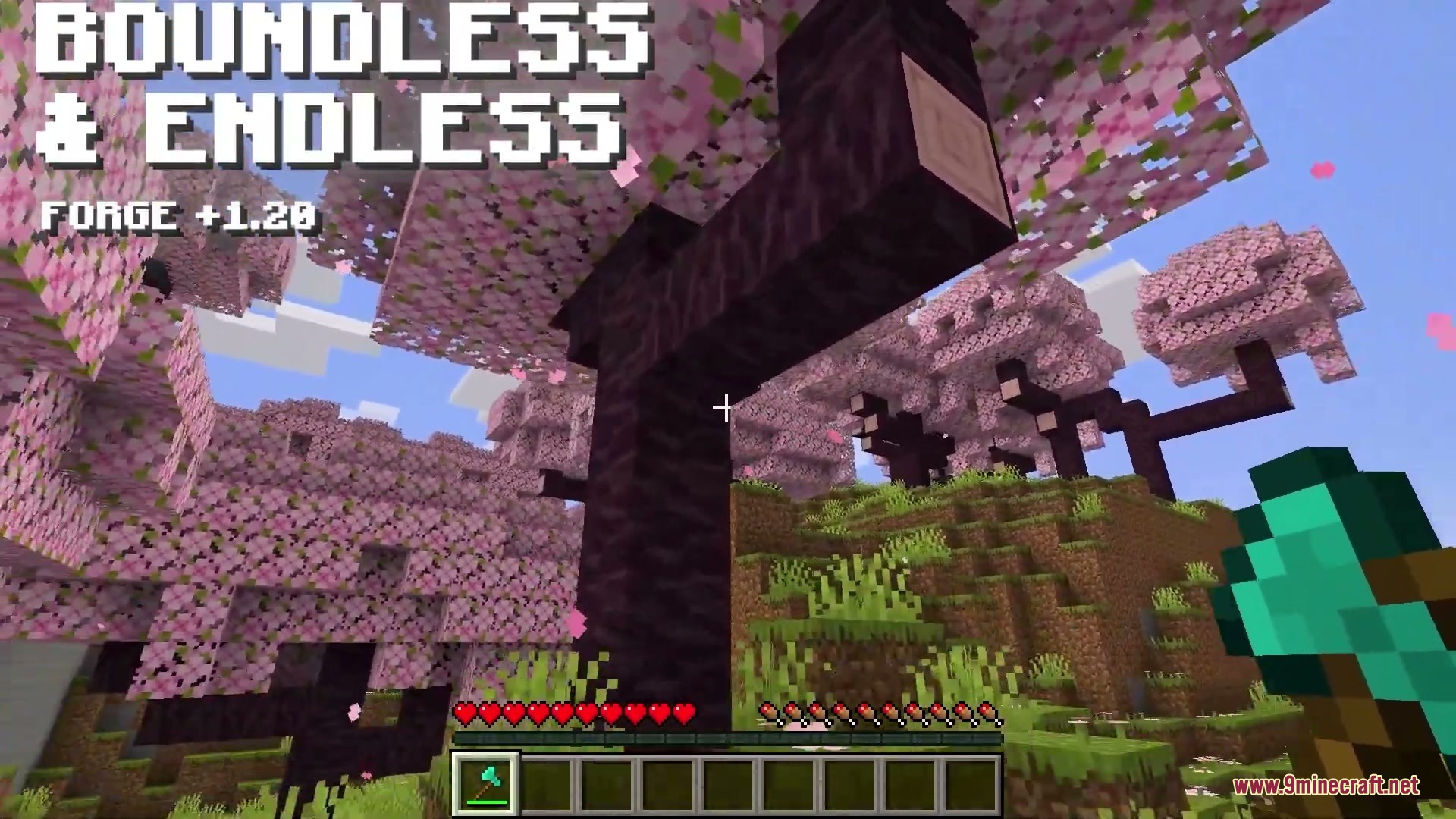 Boundless & Endless Mod Screenshot 2 Boundless & Endless Mod Screenshot 2