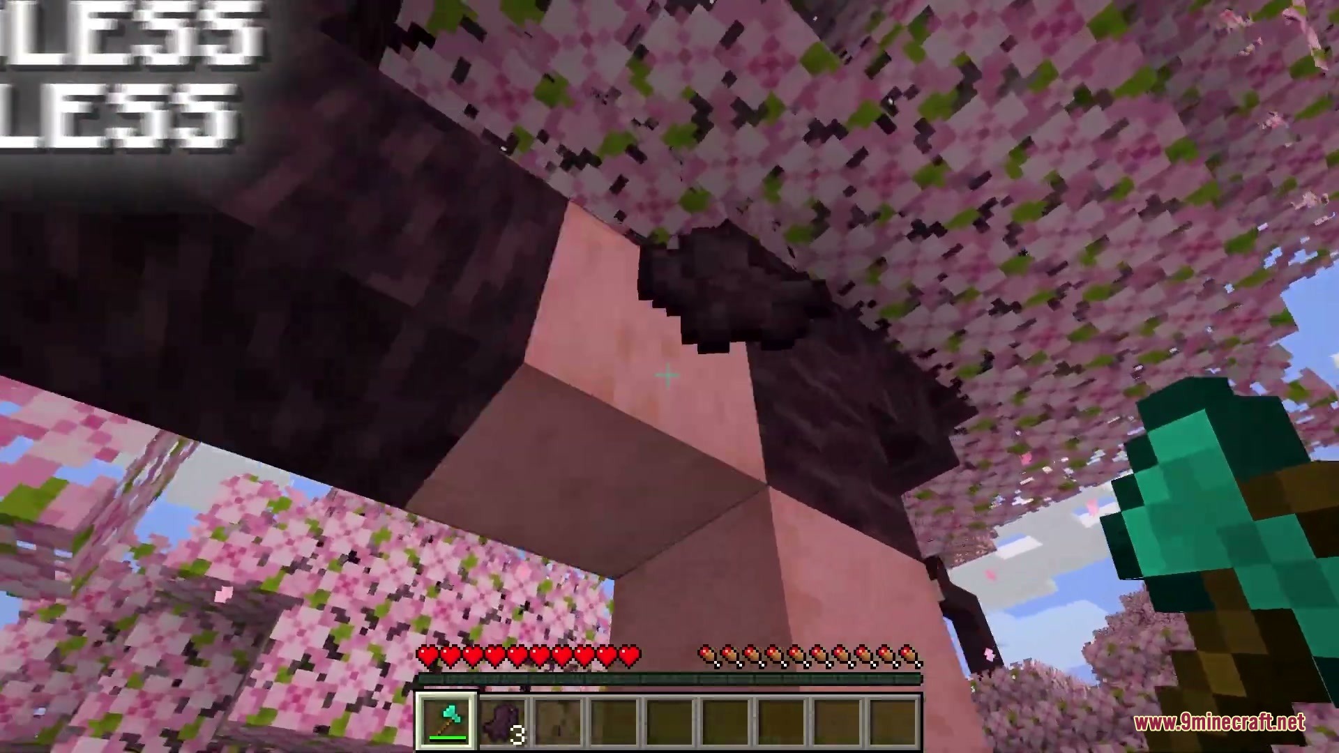 Boundless & Endless Mod Screenshot 4 Boundless & Endless Mod Screenshot 4