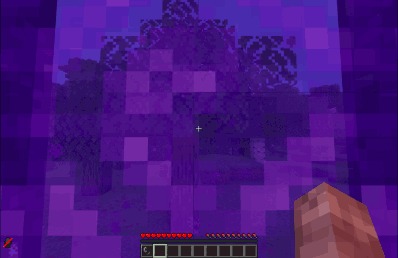 Boundless Realm Lockdown Data Pack Screenshot 1 A player standing inside a purple Nether portal looking at a forest