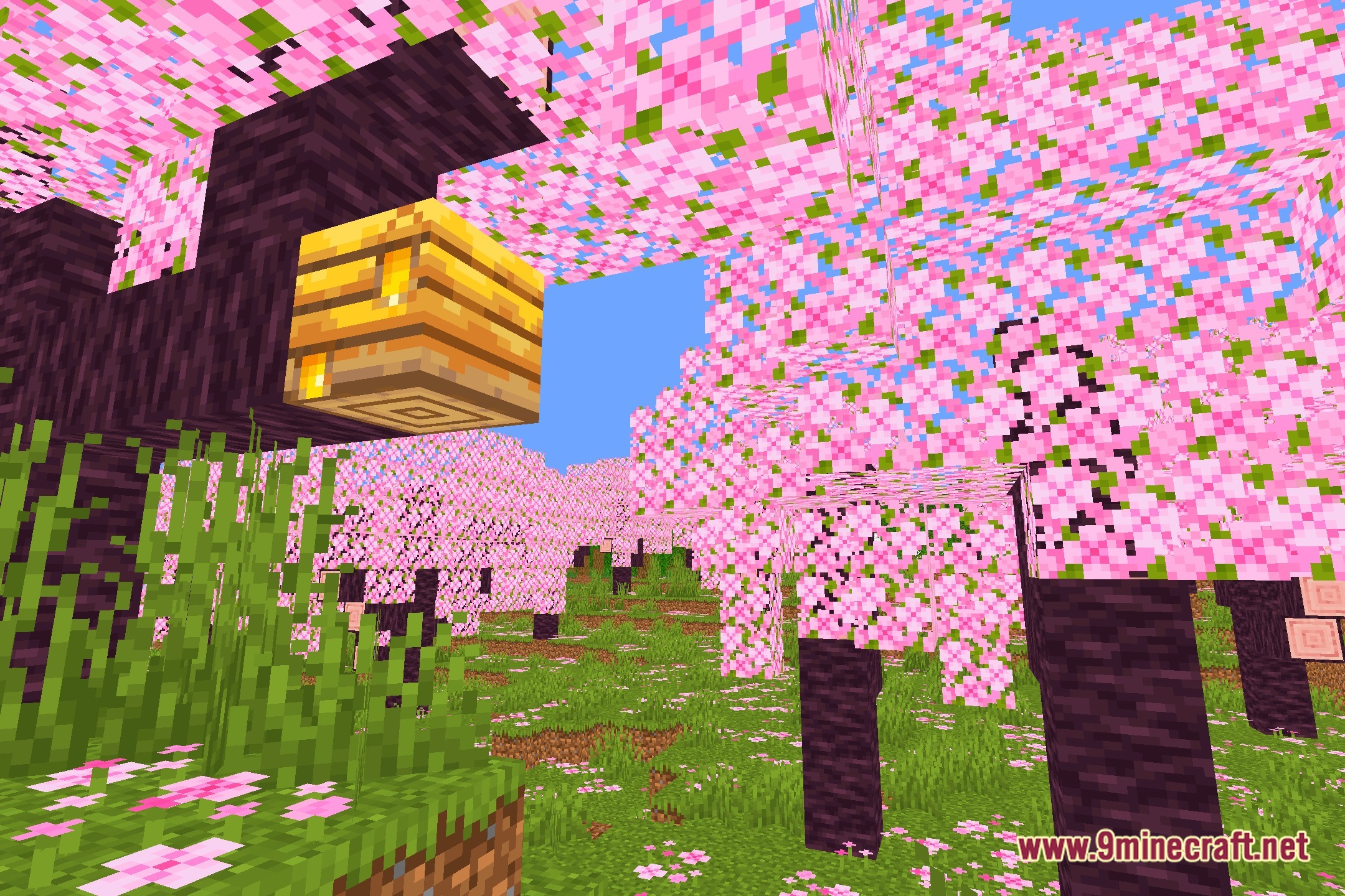 Bounty Shaders Screenshot 1