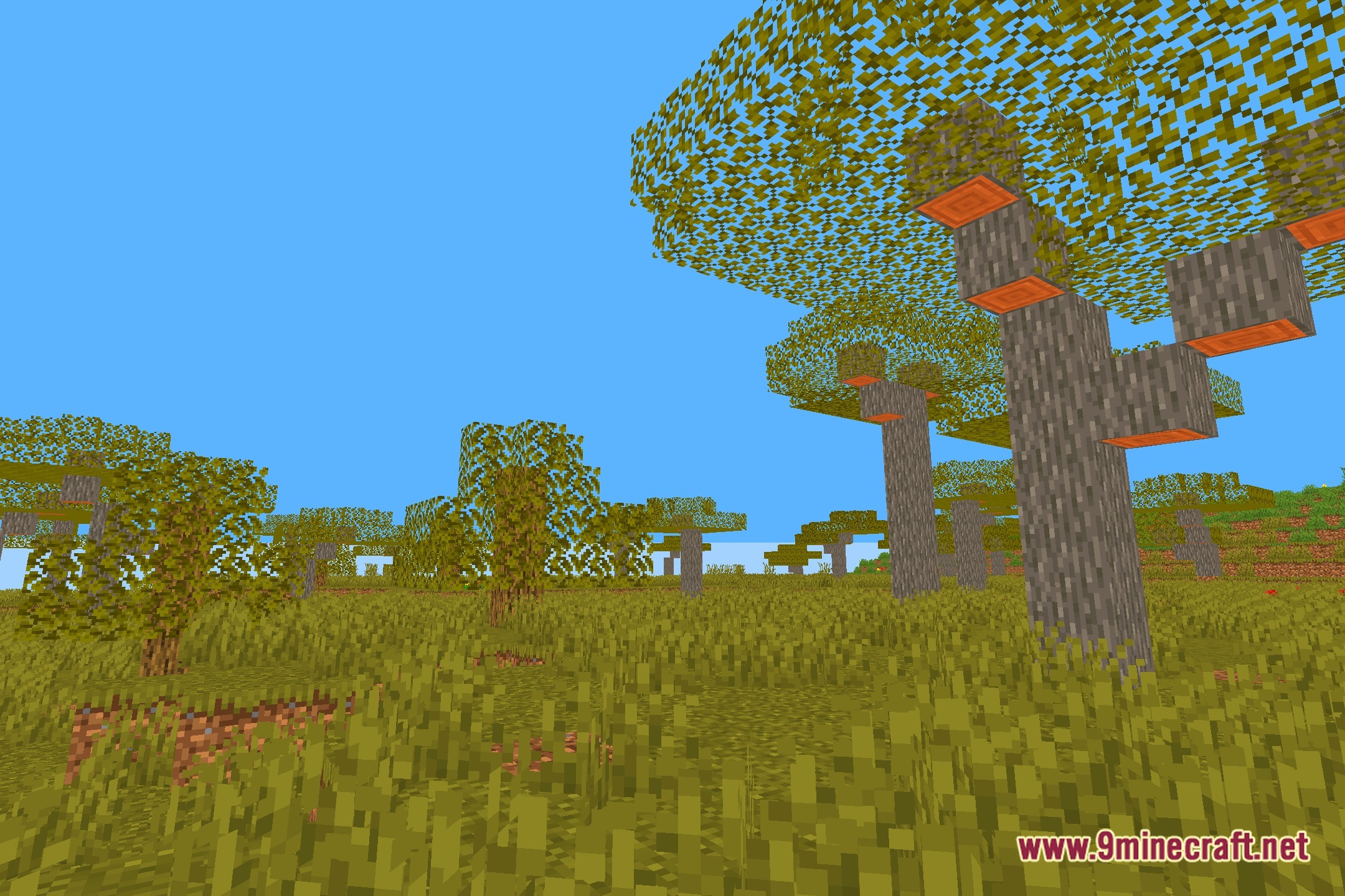 Bounty Shaders Screenshot 12