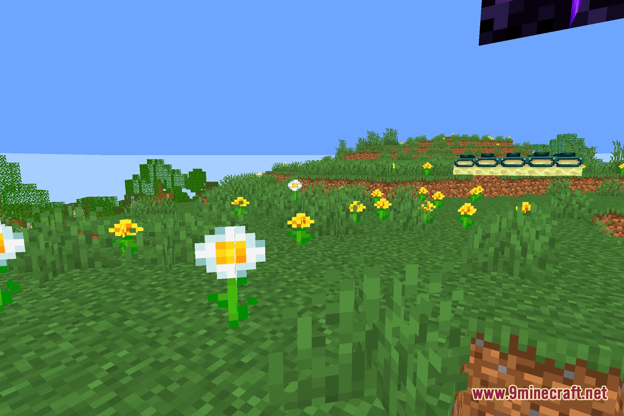 Bounty Shaders Screenshot 5