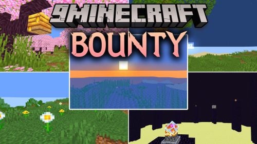 Bounty Shaders