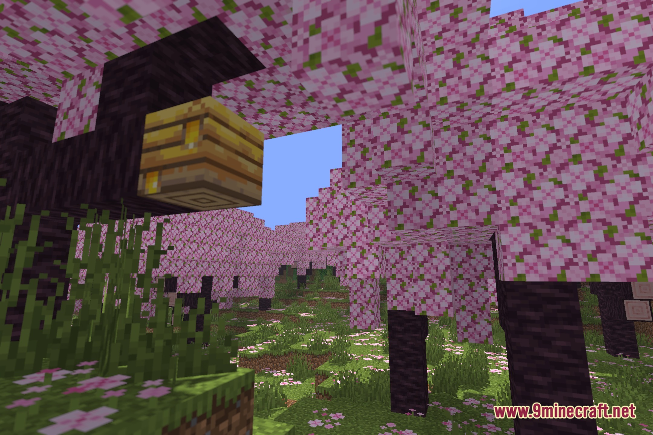 Boxeh Shaders Screenshot 1