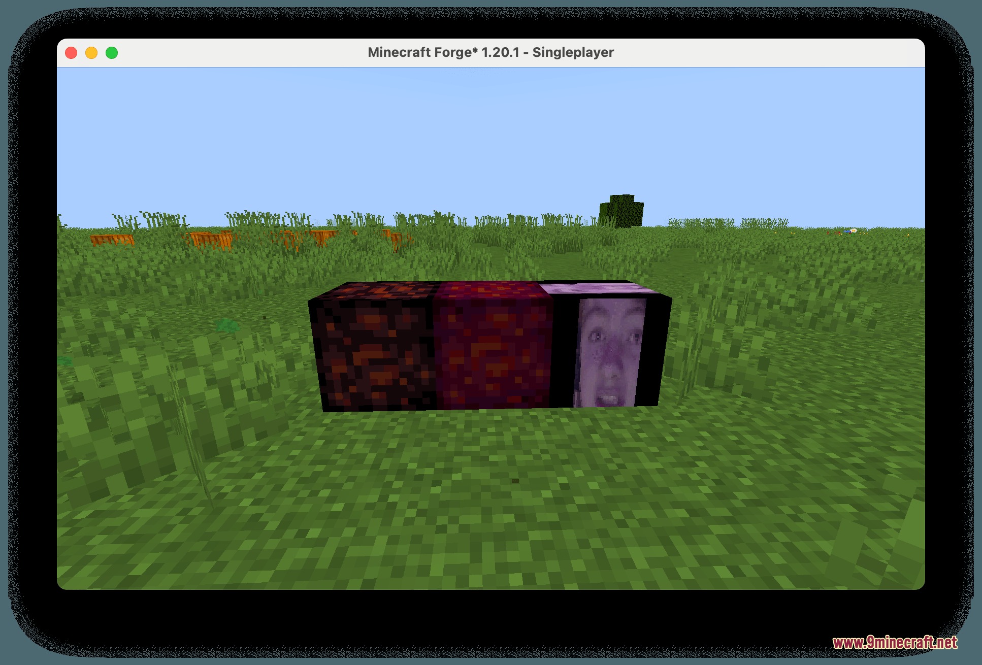 Calamity Royale Mod Screenshot 1 Three custom blocks including a creator face block on a grassy field
