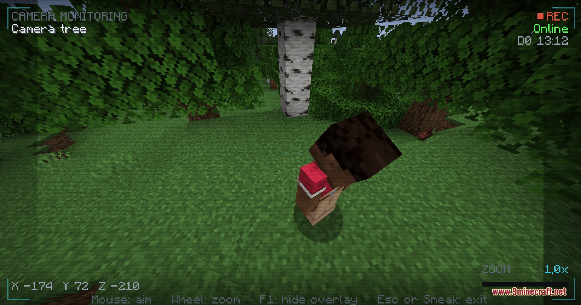 Camera Monitoring Fully Customizable Screens Mod Screenshot 1