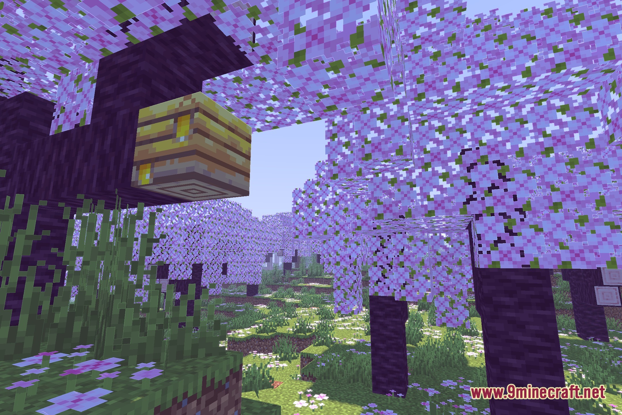 Candela Shaders Screenshot 1