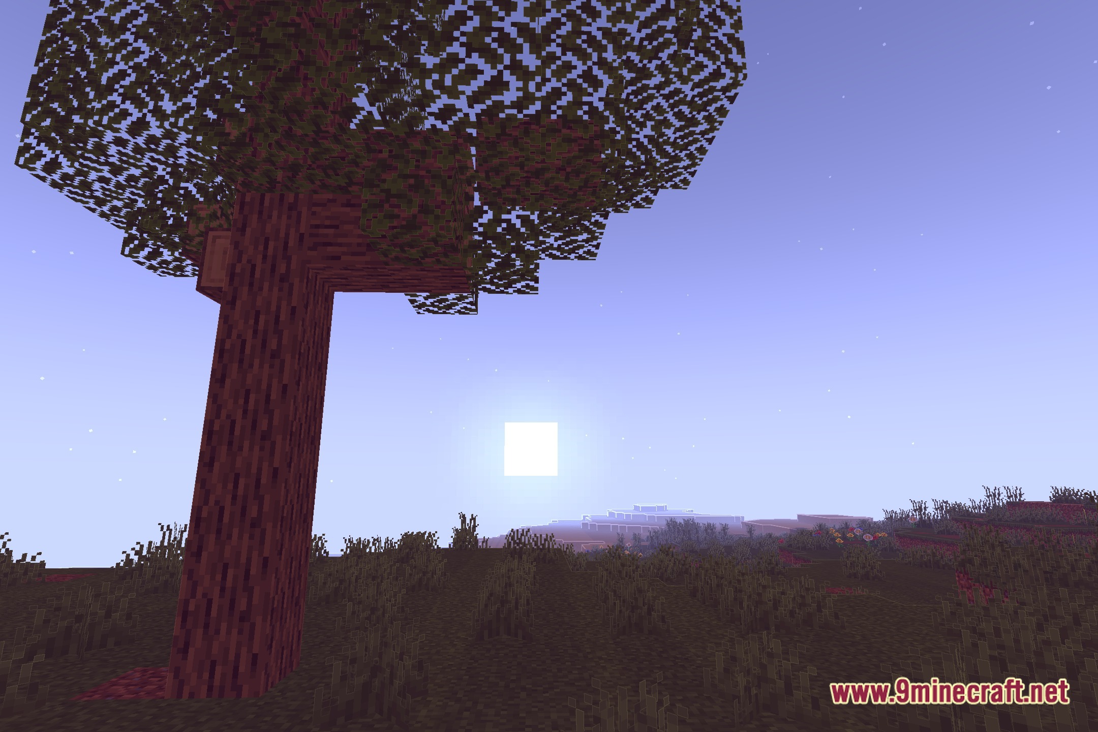Candela Shaders Screenshot 4