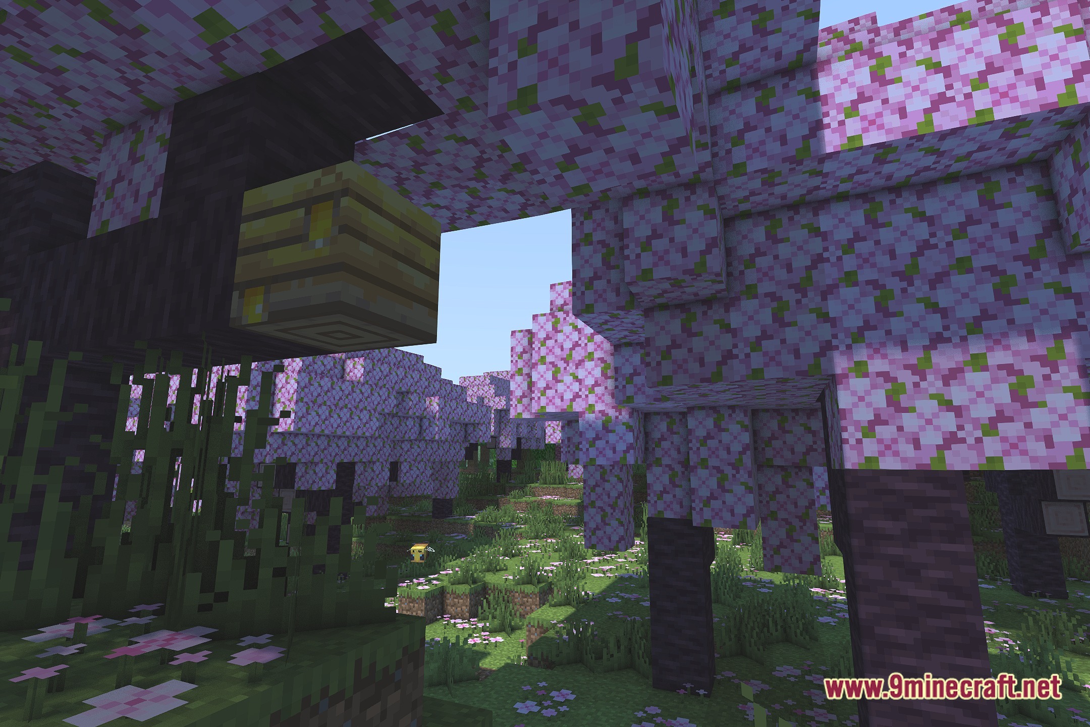Carrot Shaders Screenshot 1