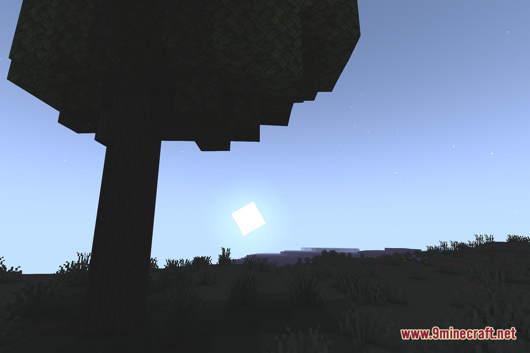 Carrot Shaders Screenshot 4