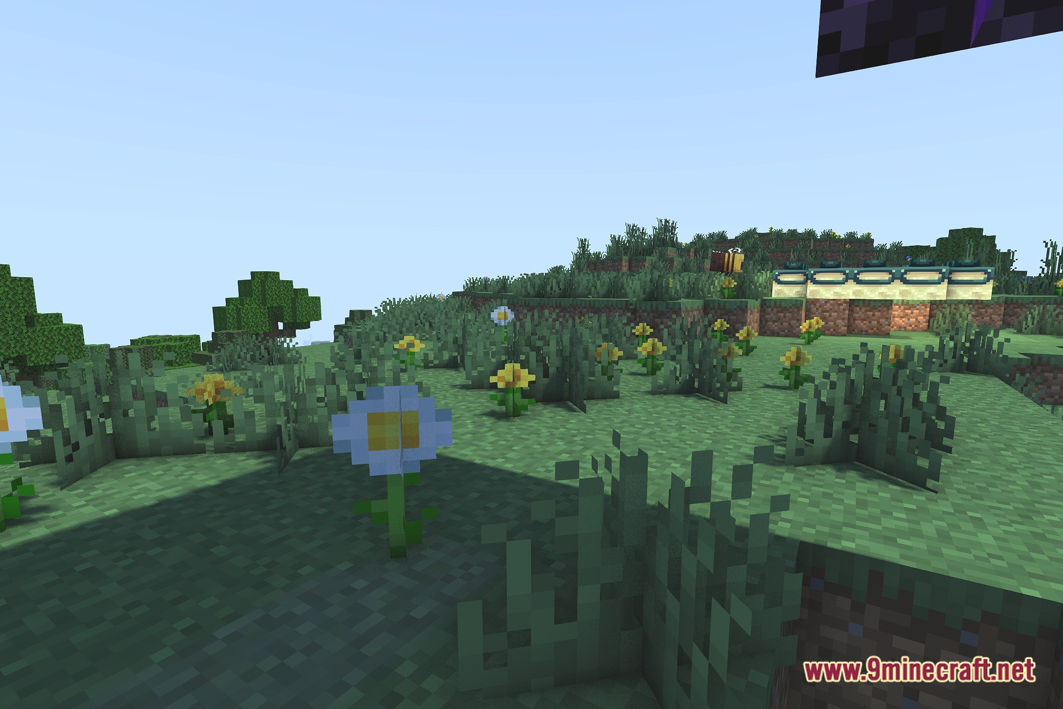 Carrot Shaders Screenshot 5