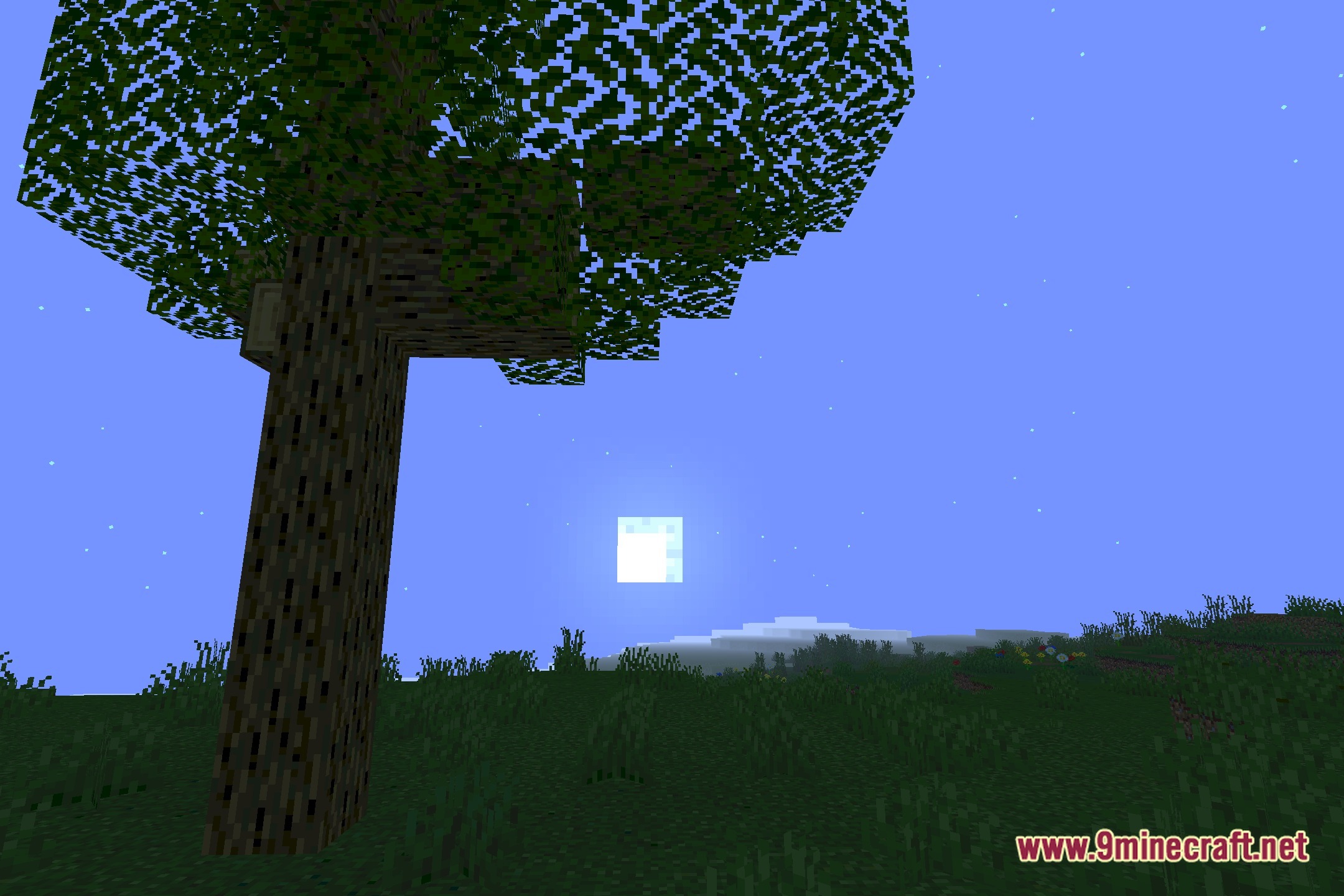 Catnip Shaders Screenshot 4