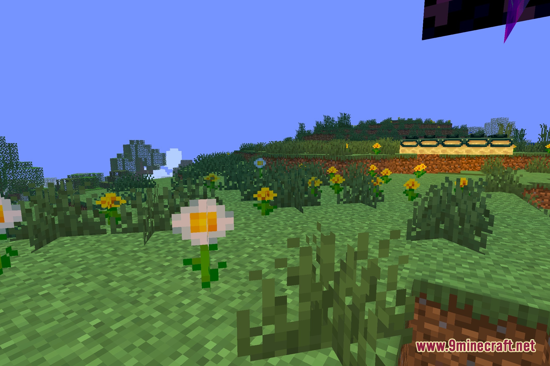 Catnip Shaders Screenshot 5
