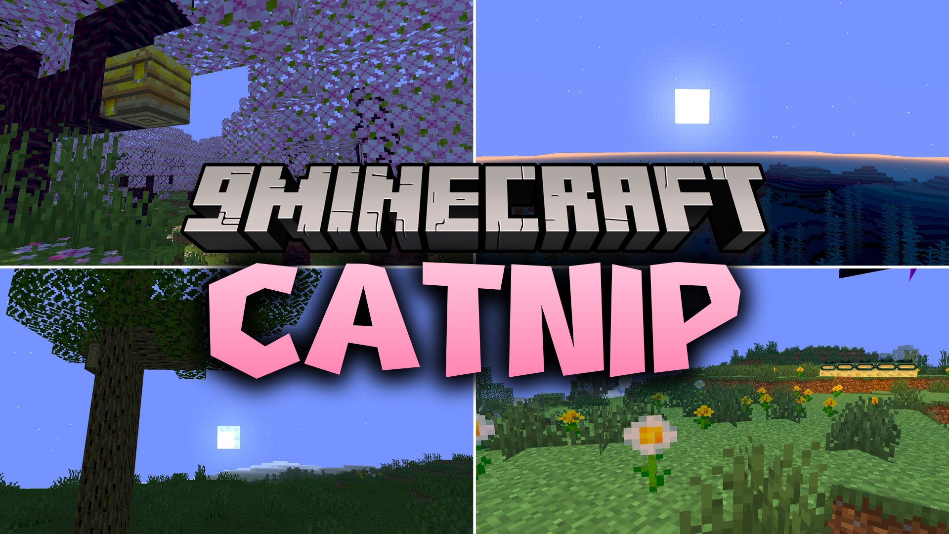 Catnip Shaders