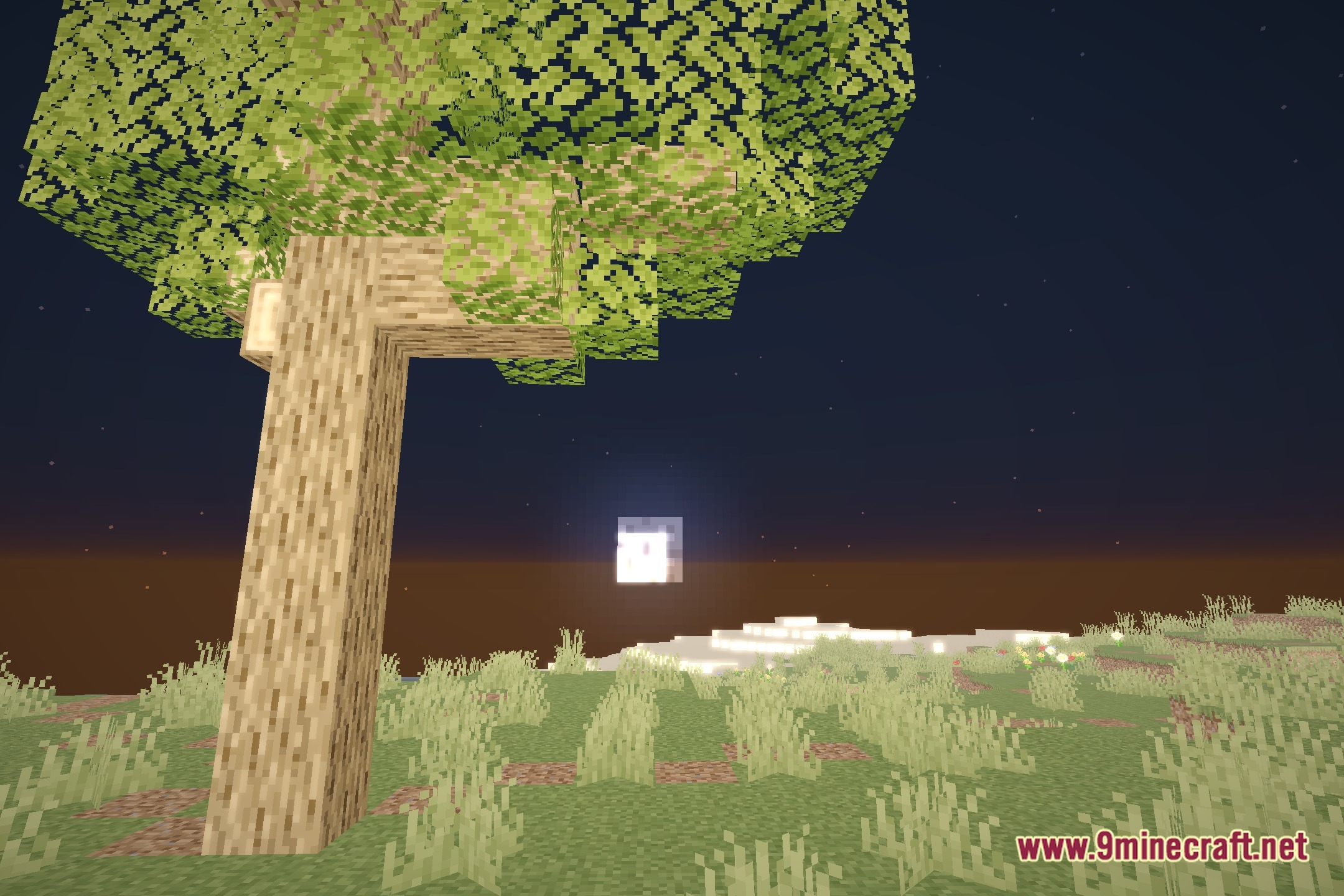 Cherry Reimagined Shaders Screenshot 4