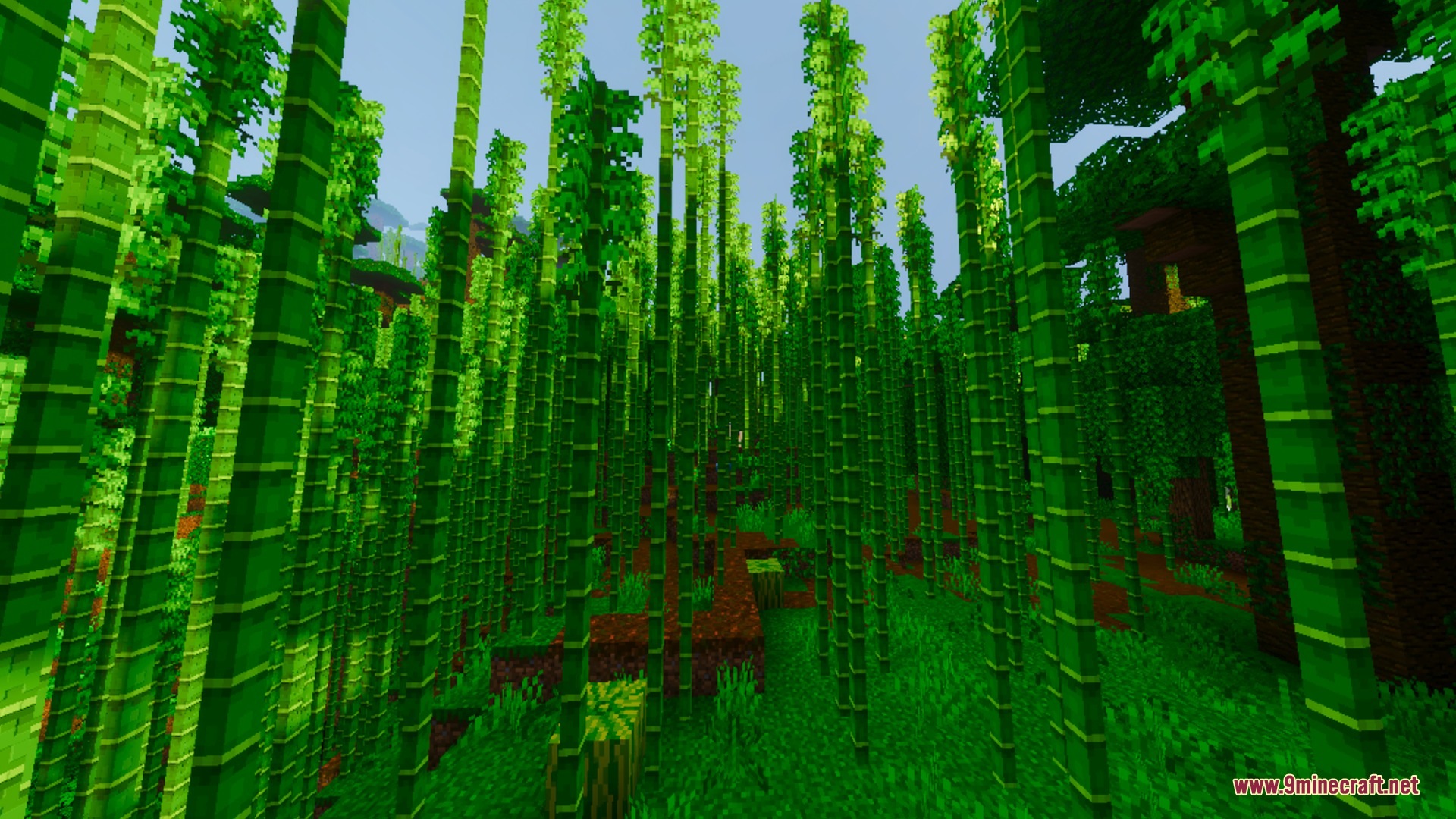 Dense bamboo forest with tall green stalks and vibrant lighting in Minecraft