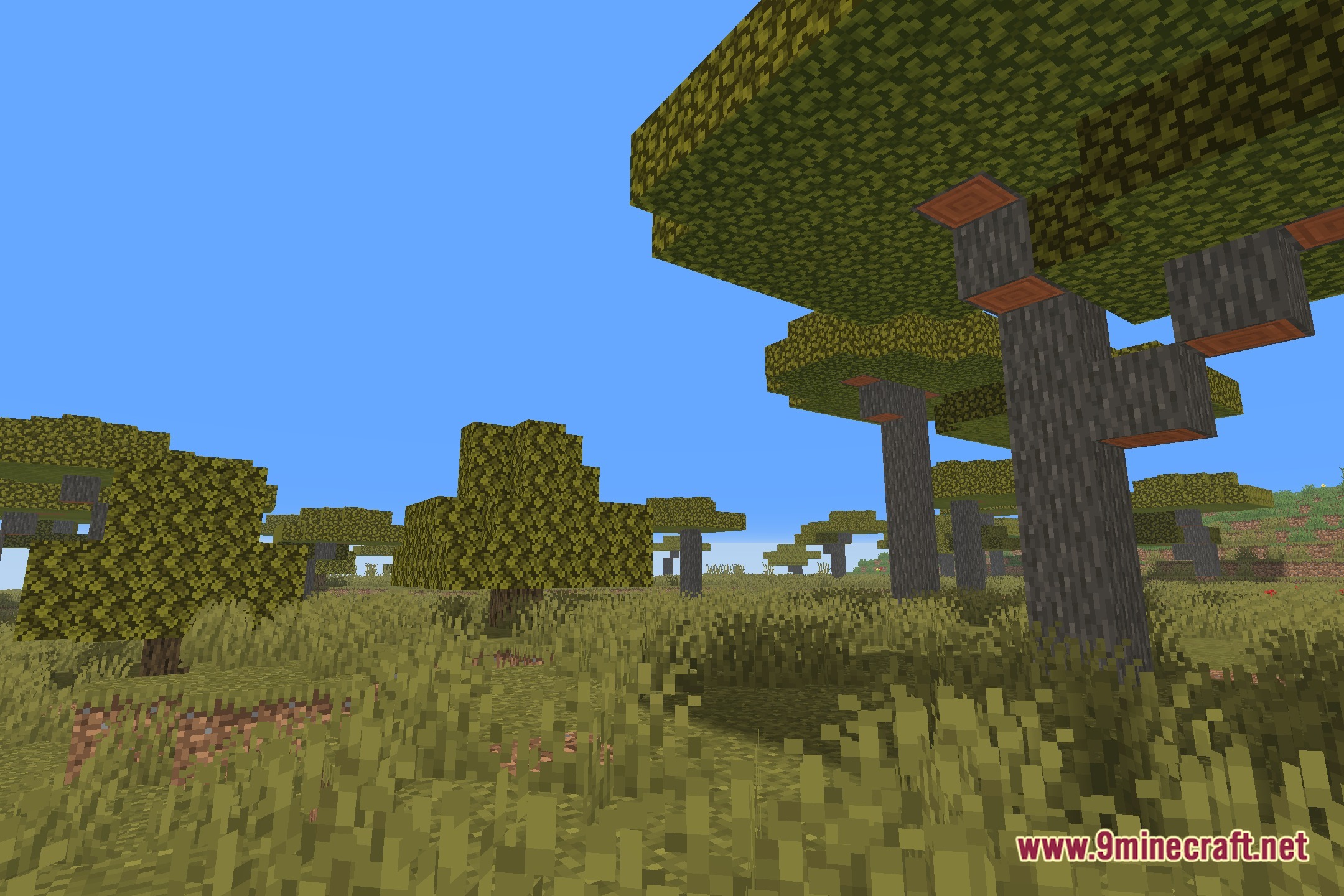 Chill Shaders Screenshot 11
