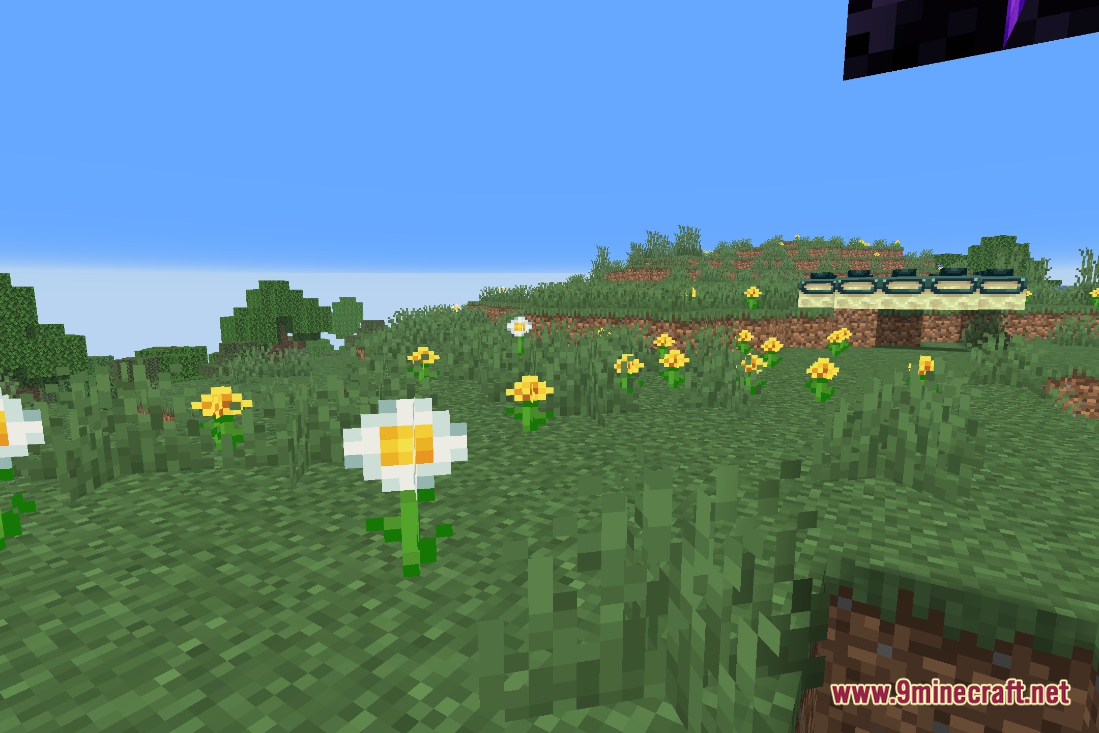 Chill Shaders Screenshot 4