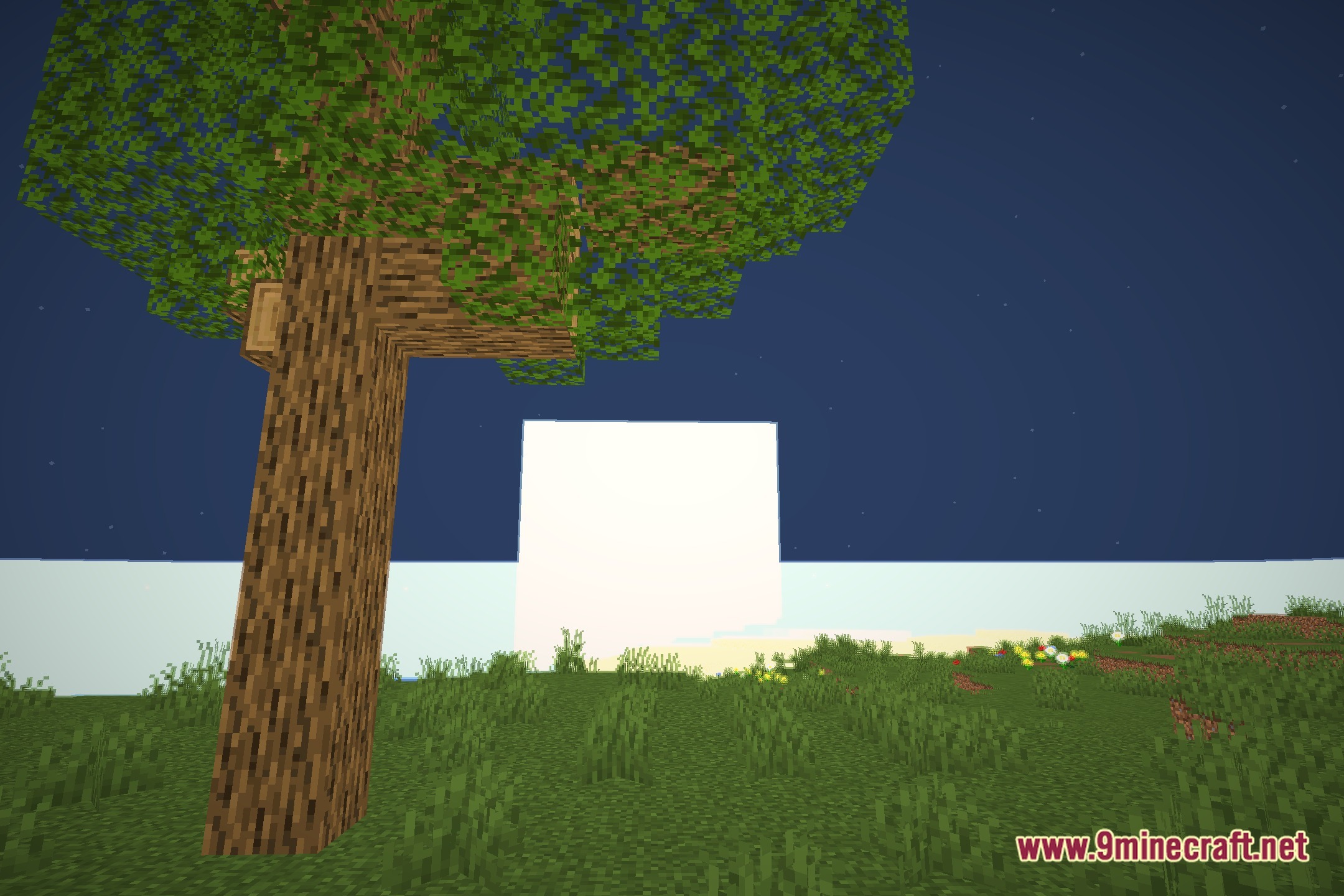 ChillCrafter Shaders Screenshot 4