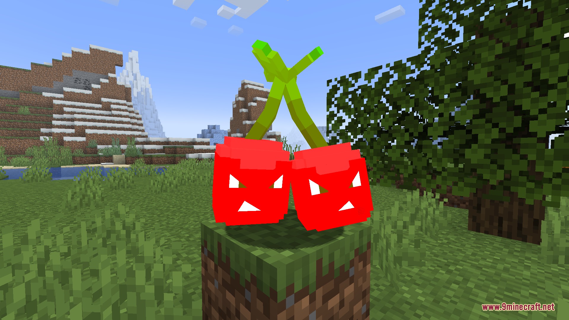 Angry red Cherry Bomb plant placed on a grass block in a field