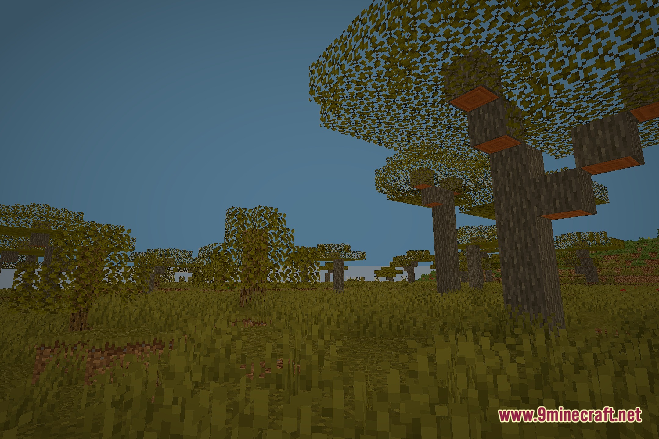 Chroma Lite Shaderpack Realism Low End Shaders Screenshot 11