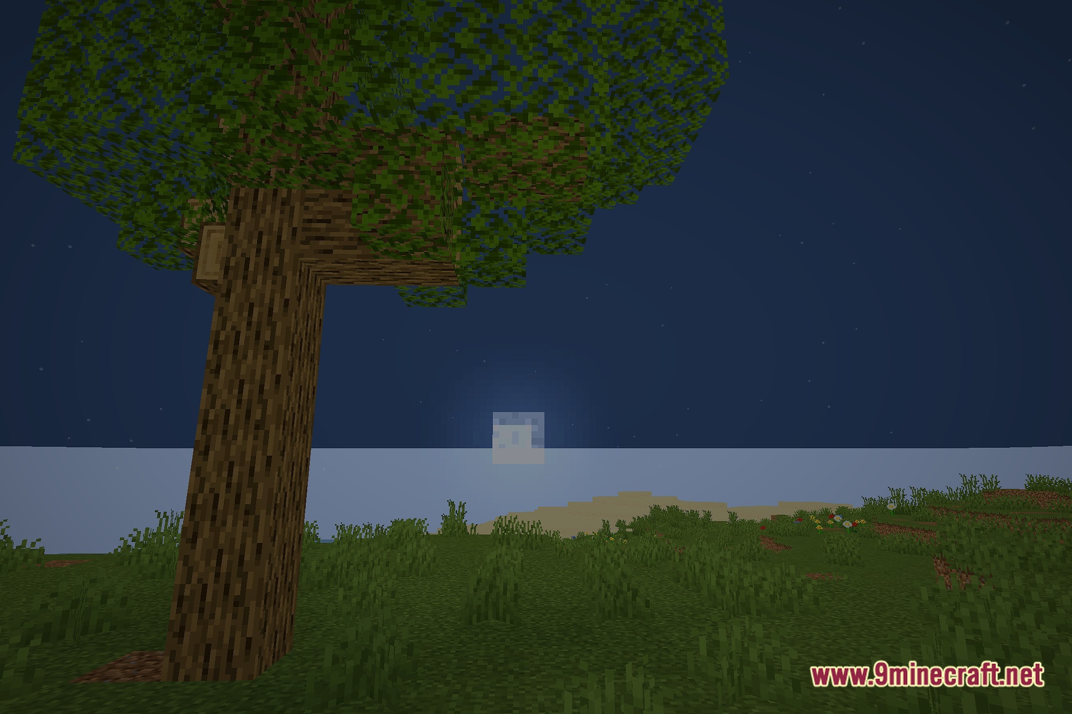 Chroma Lite Shaderpack Realism Low End Shaders Screenshot 3