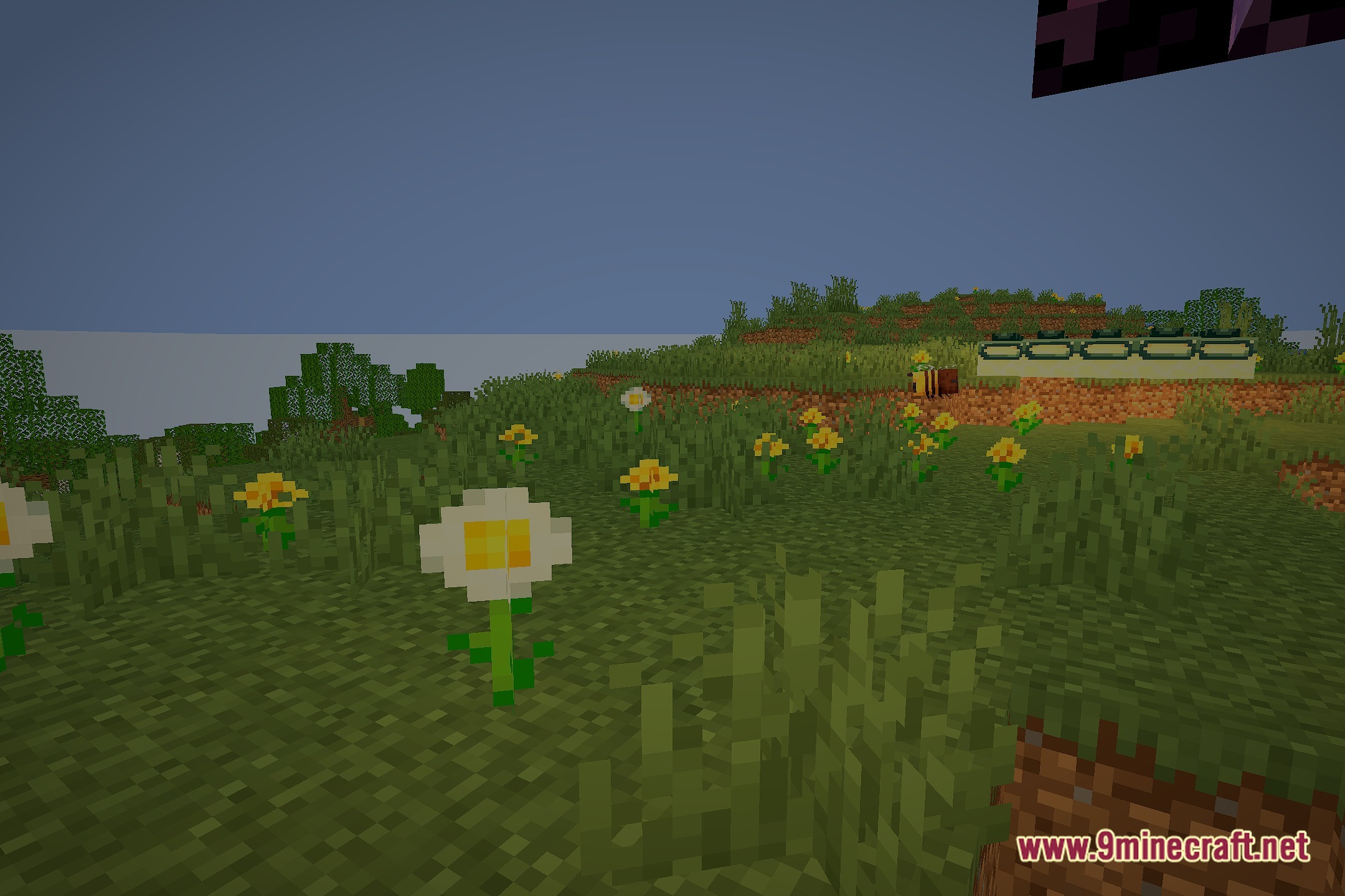 Chroma Lite Shaderpack Realism Low End Shaders Screenshot 4