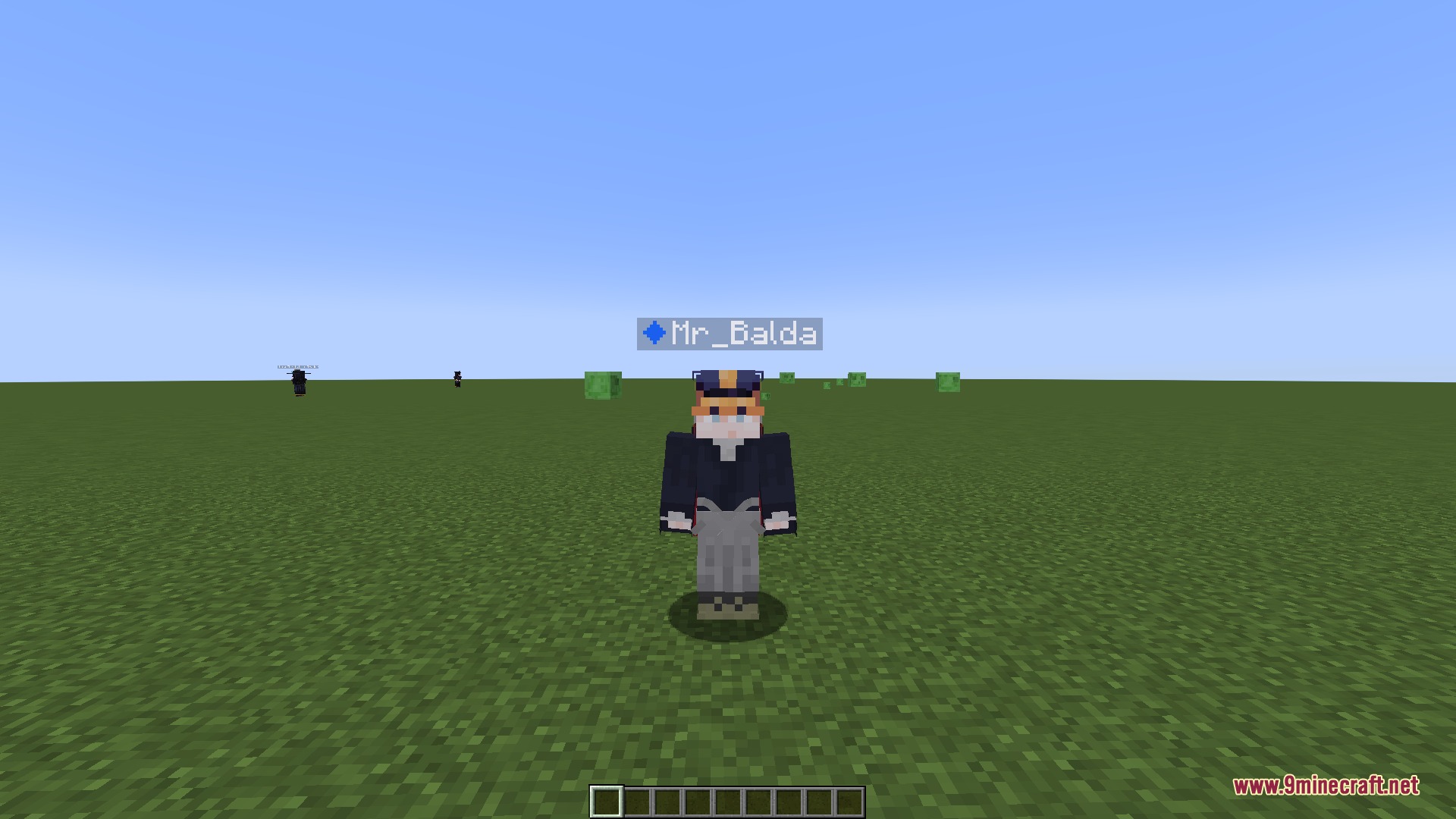 Cinematic Frame Flow Mod Screenshot 7 A Minecraft player character named Mr Balda standing in a flat grass world