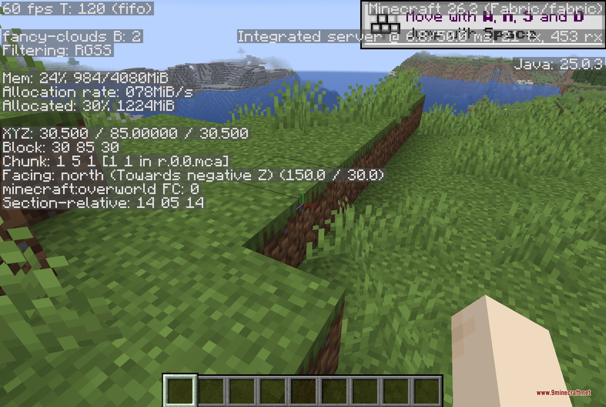 Clean F3 9minecraft Mod Screenshot 3 A Minecraft player views the detailed F3 debug screen in a grassy biome