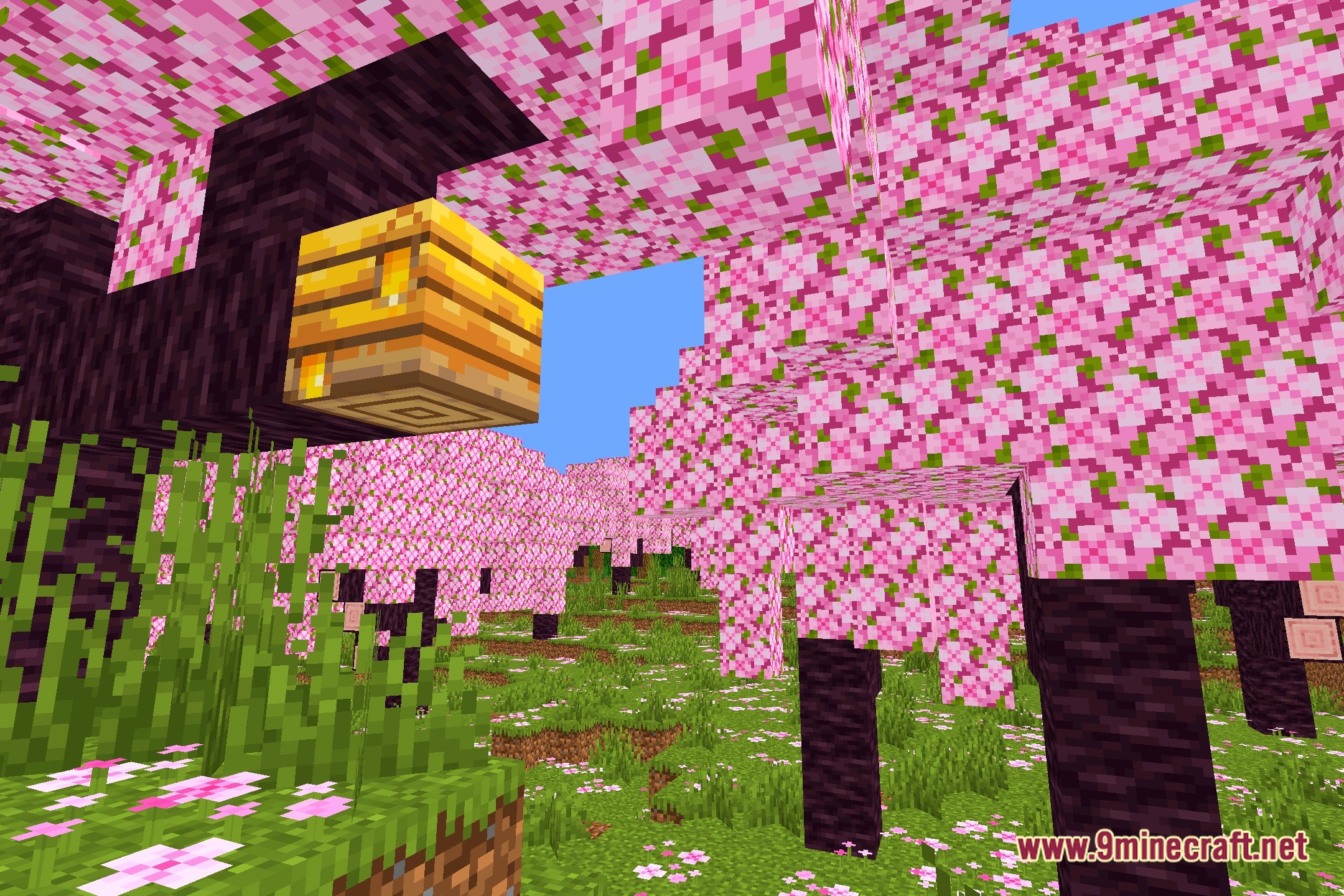 ColorFulShader Screenshot 1