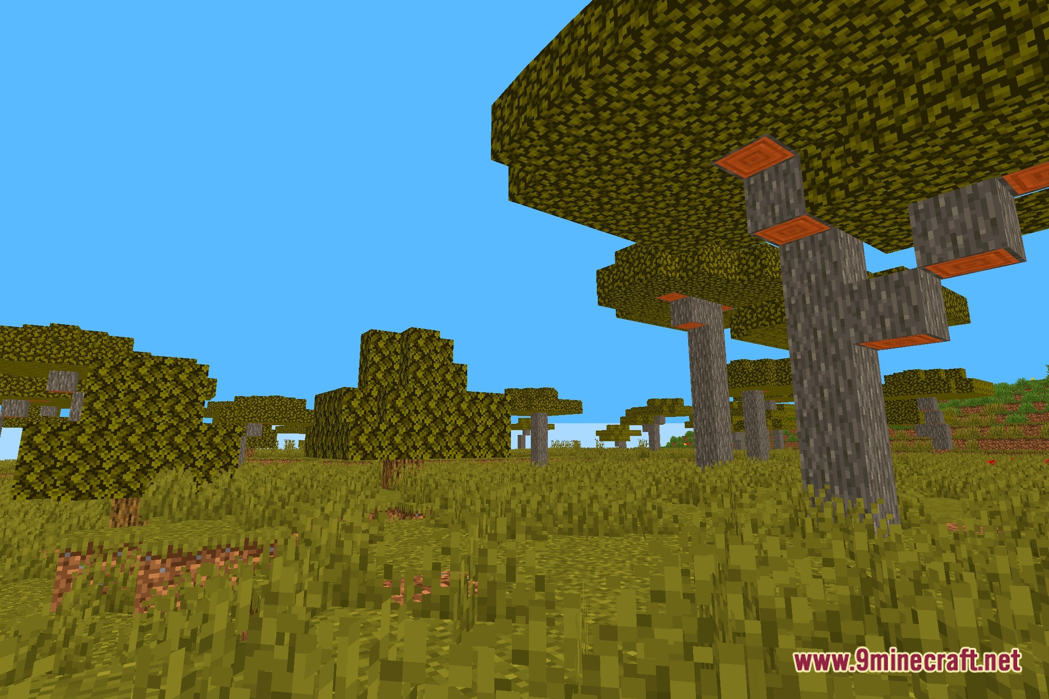 ColorFulShader Screenshot 12