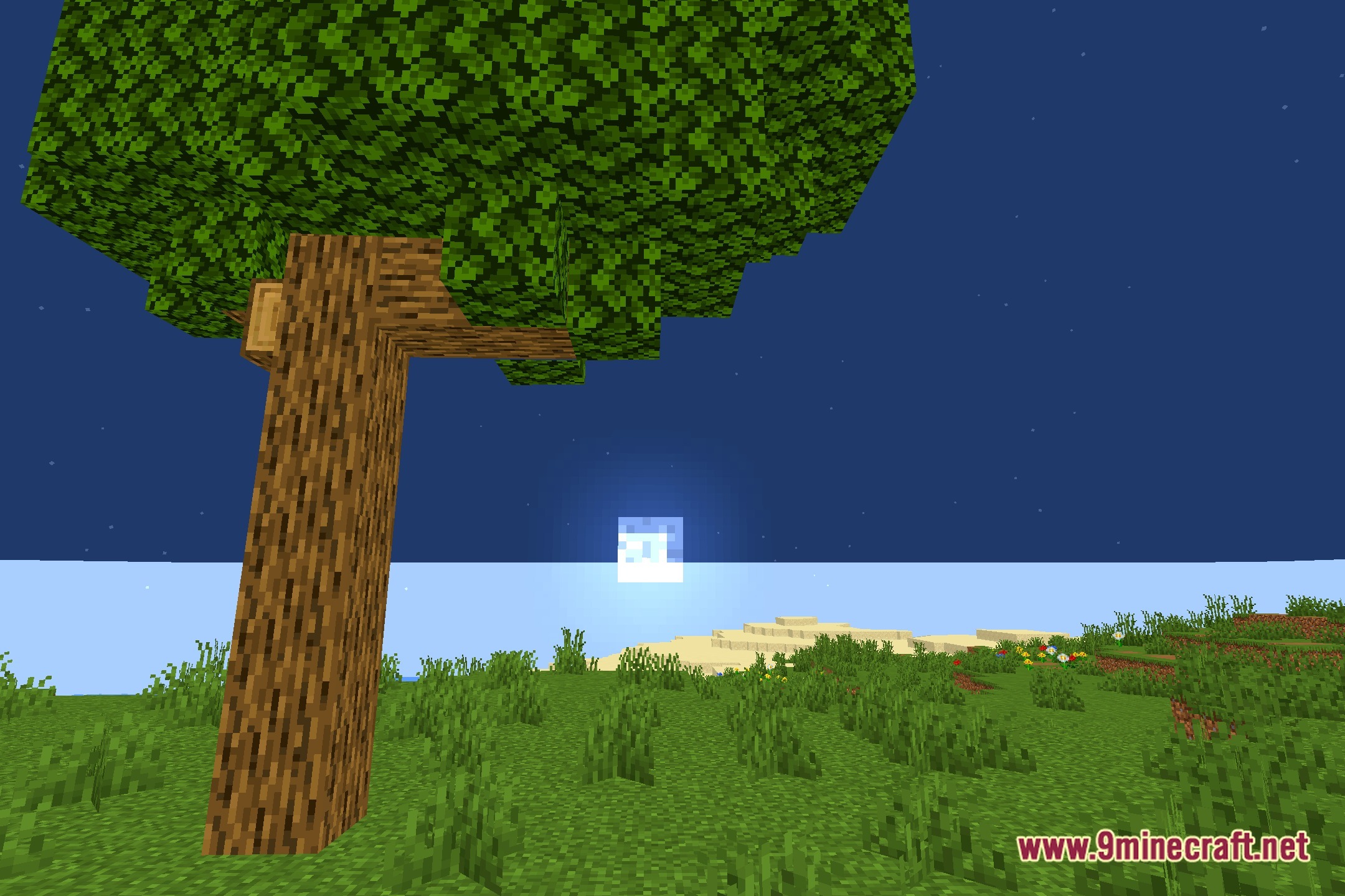 ColorFulShader Screenshot 4