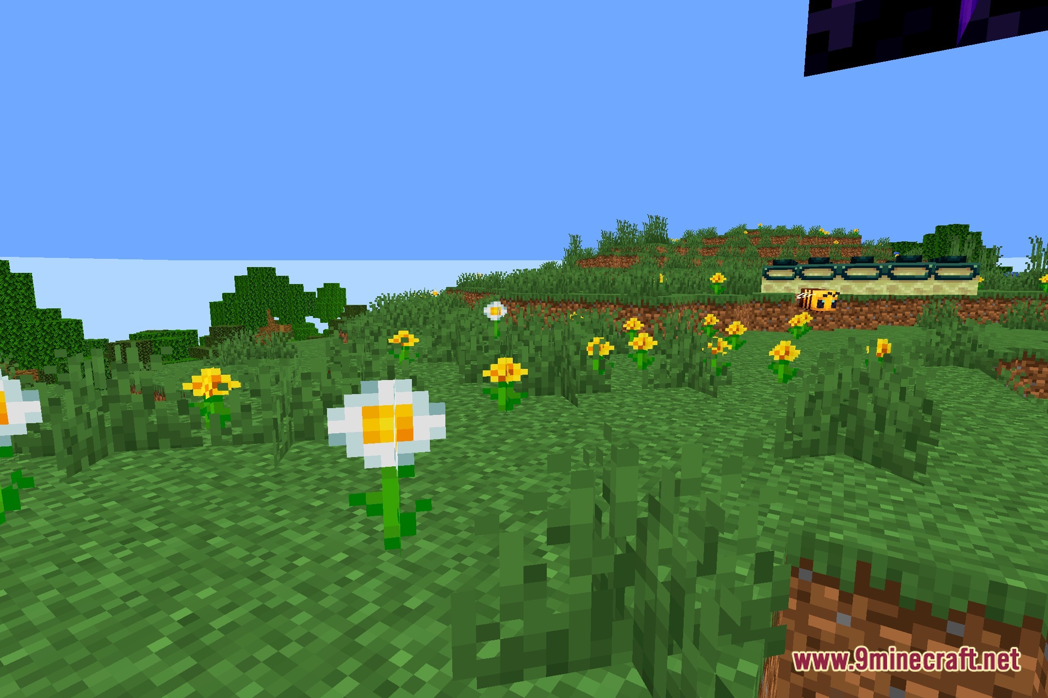 ColorFulShader Screenshot 5
