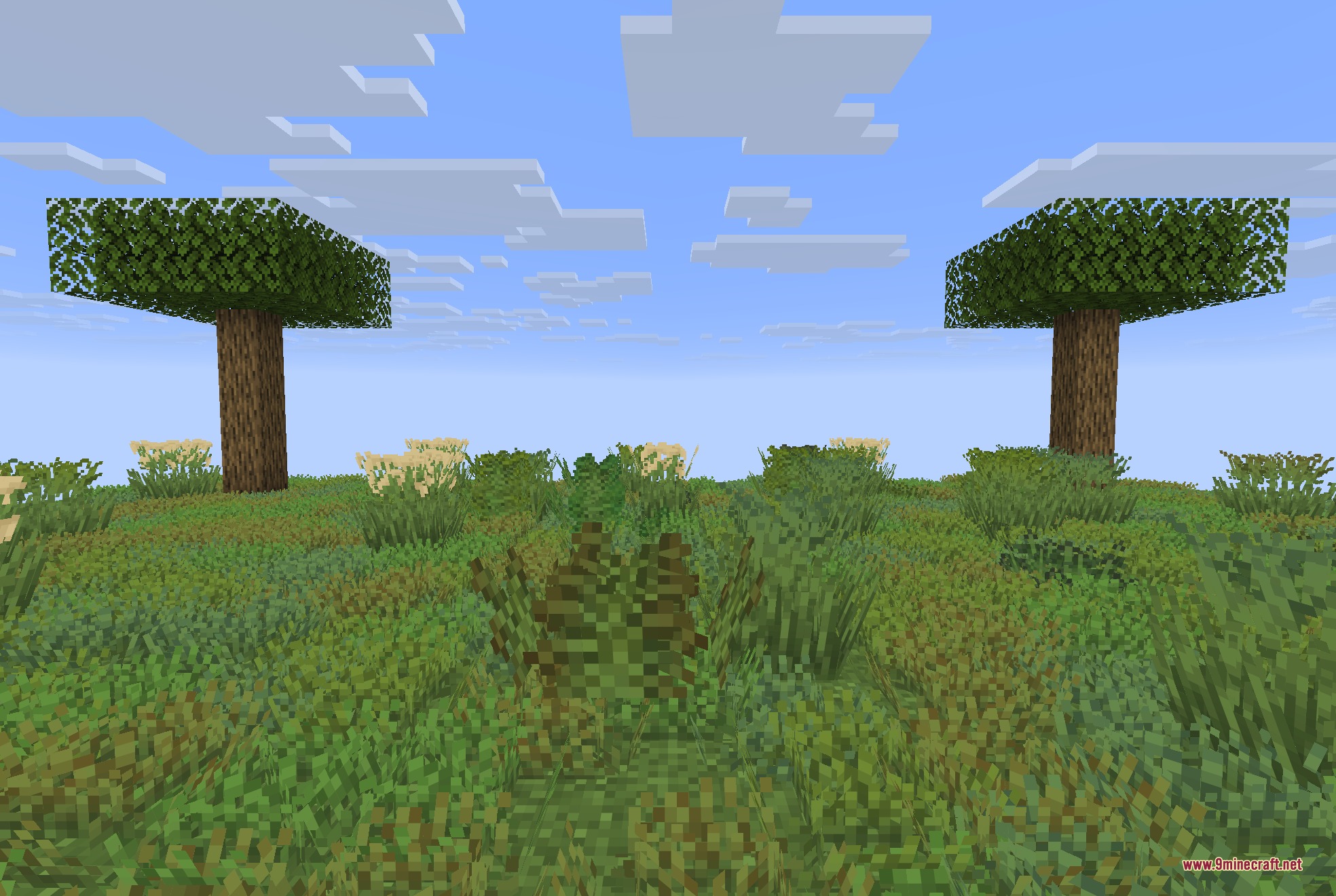 Detailed view of varied grass models and textures in a Minecraft world