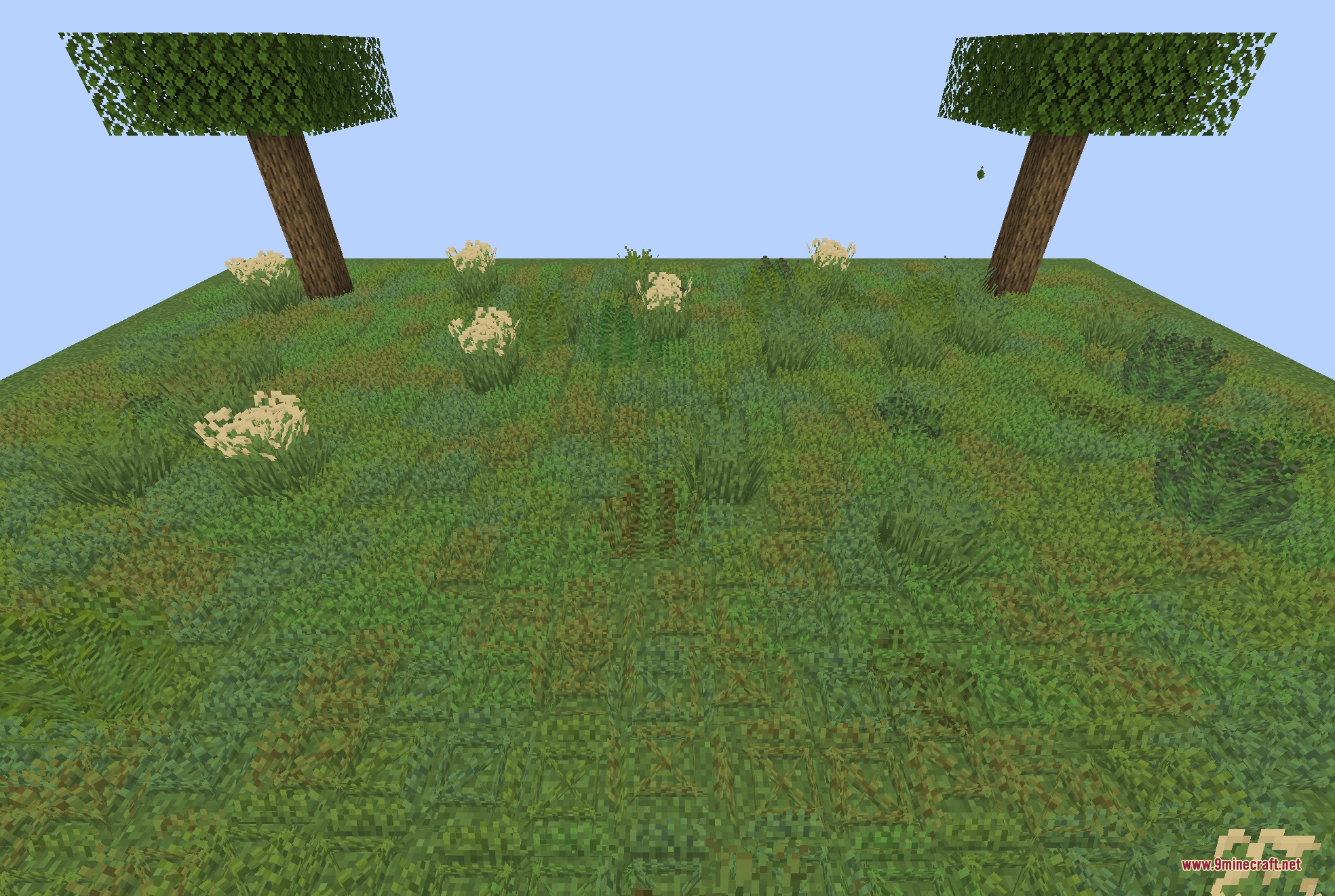 Two trees overlook a field featuring diverse grass models and small plants