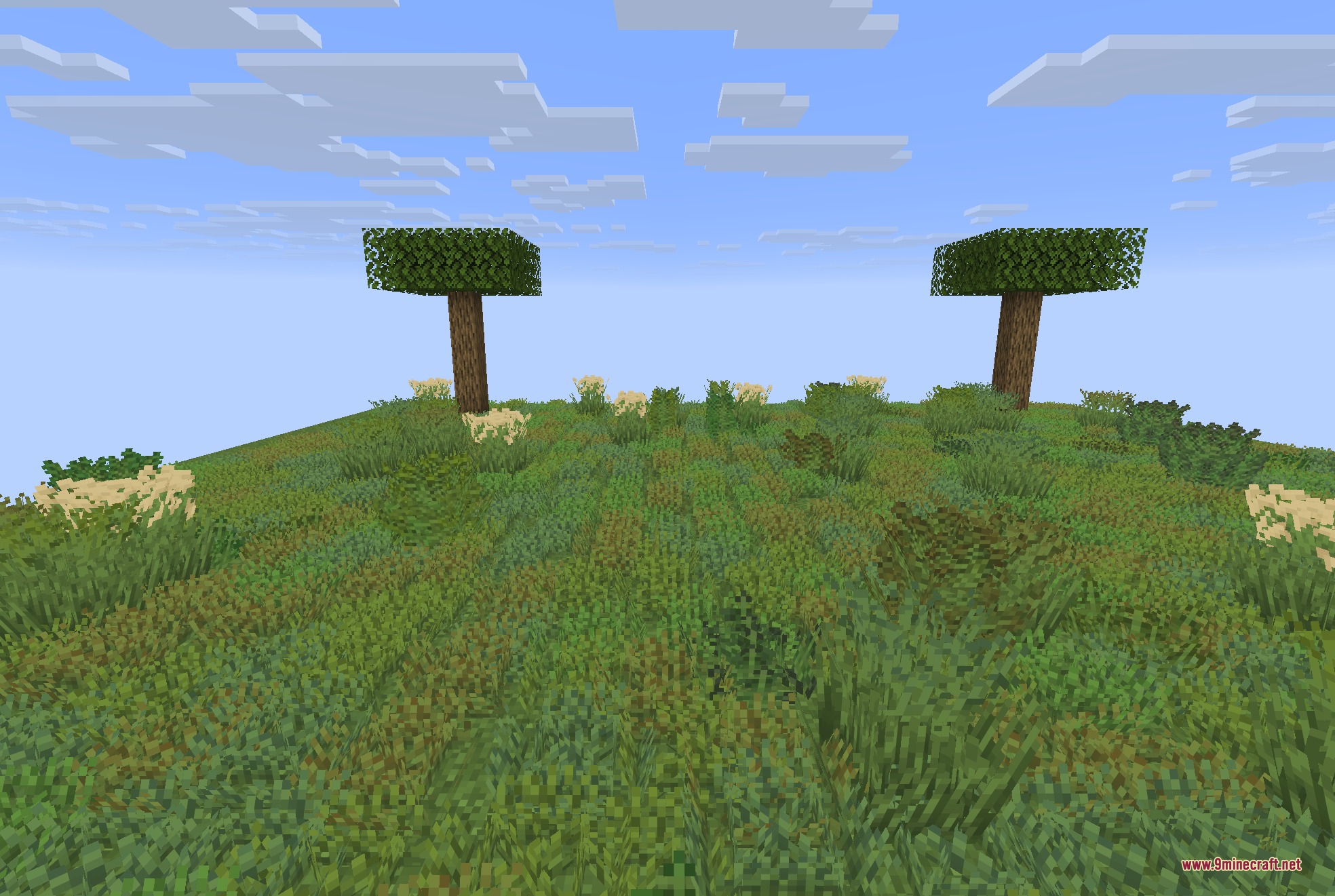 A vibrant field of grass with multiple model variants and two trees