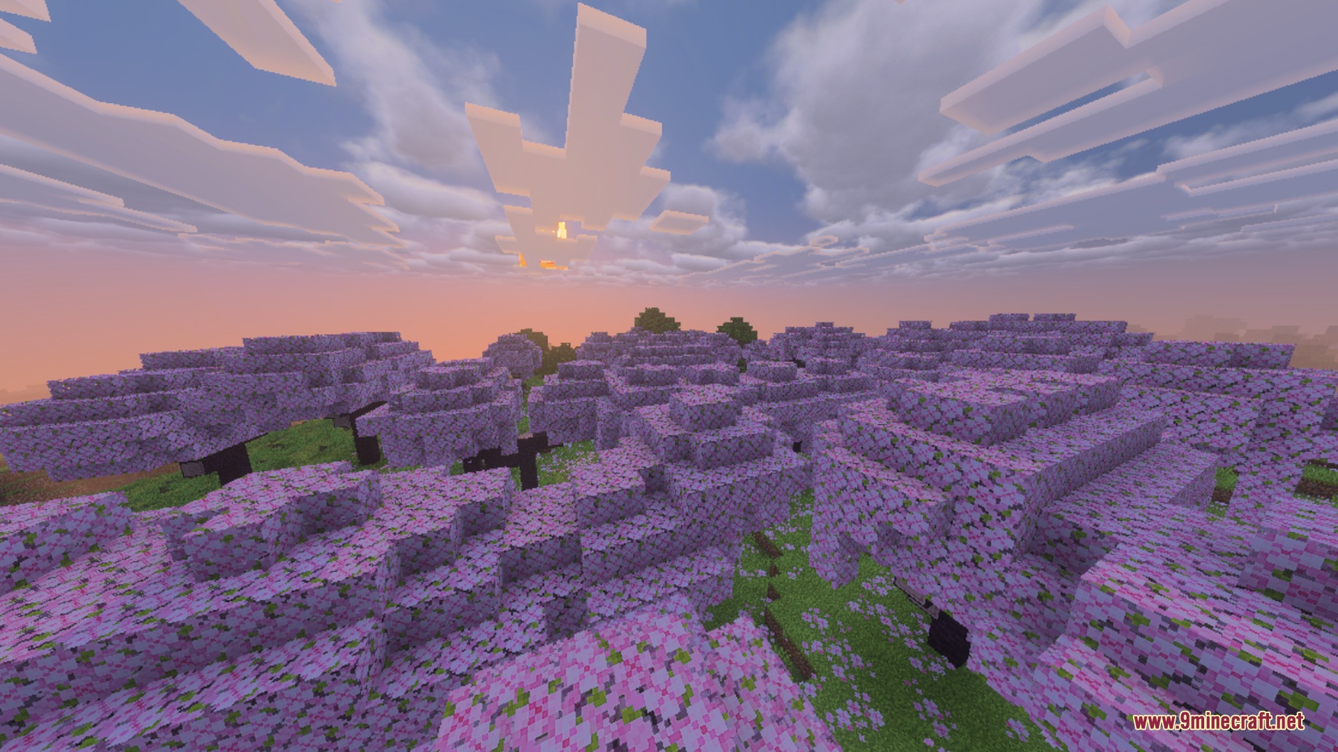 Cherry blossom forest under a sunset sky with Complementary Unbound Clouds