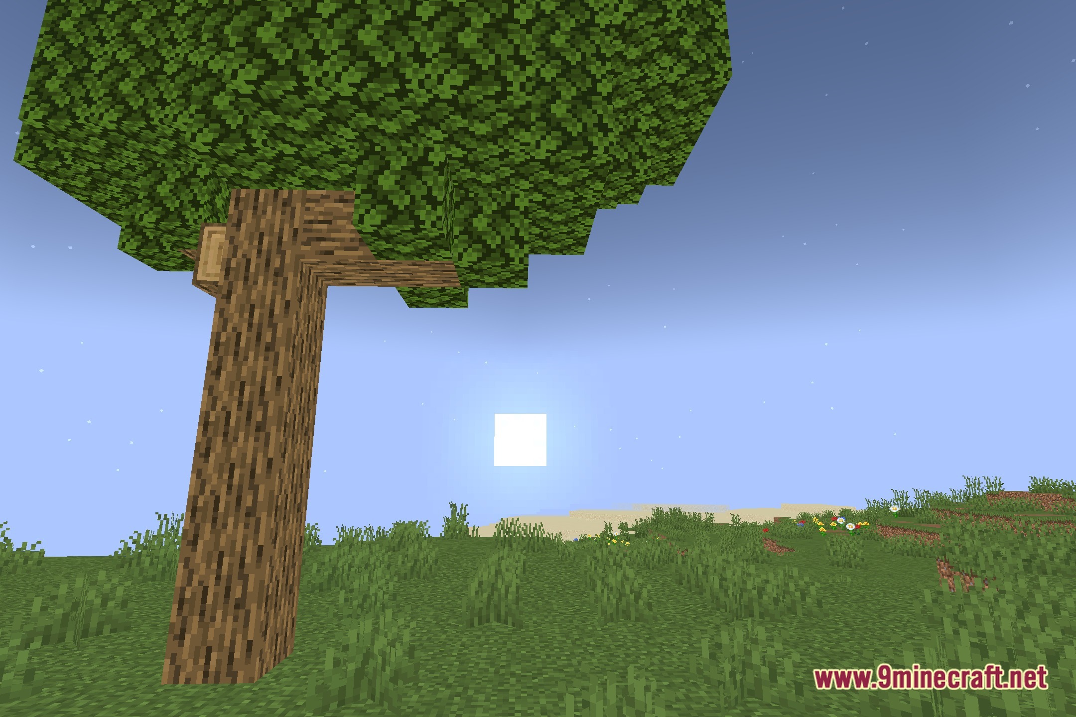 Composition Shaders Screenshot 4