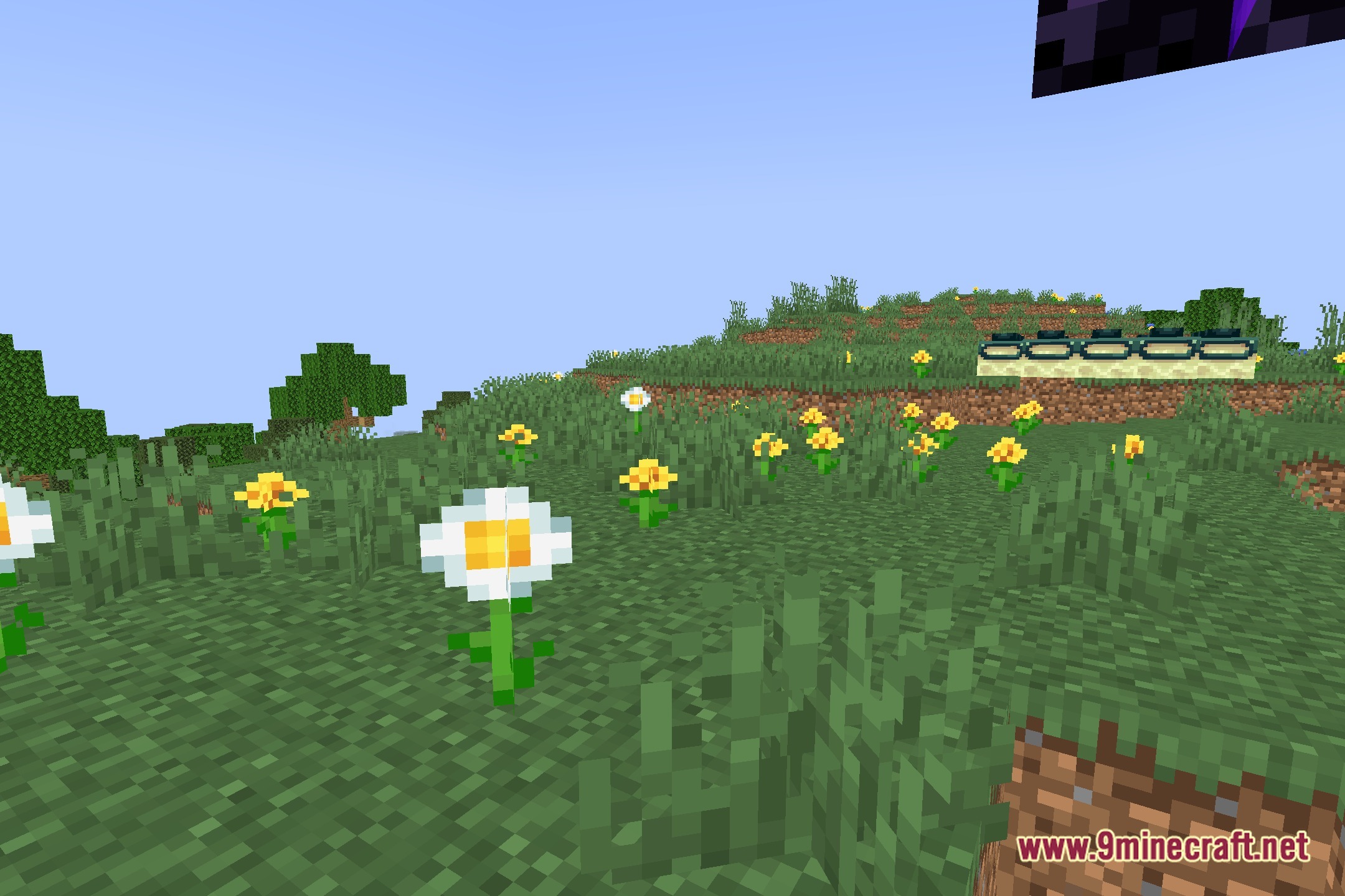 Composition Shaders Screenshot 5