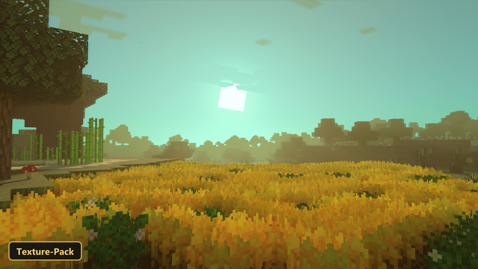 golden wheat field, bamboo, and trees under a bright sun