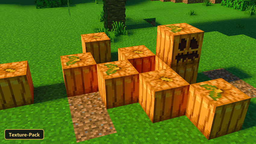 pumpkins and a carved pumpkin on grass and dirt paths