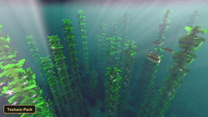 underwater kelp forest with sun rays and a turtle