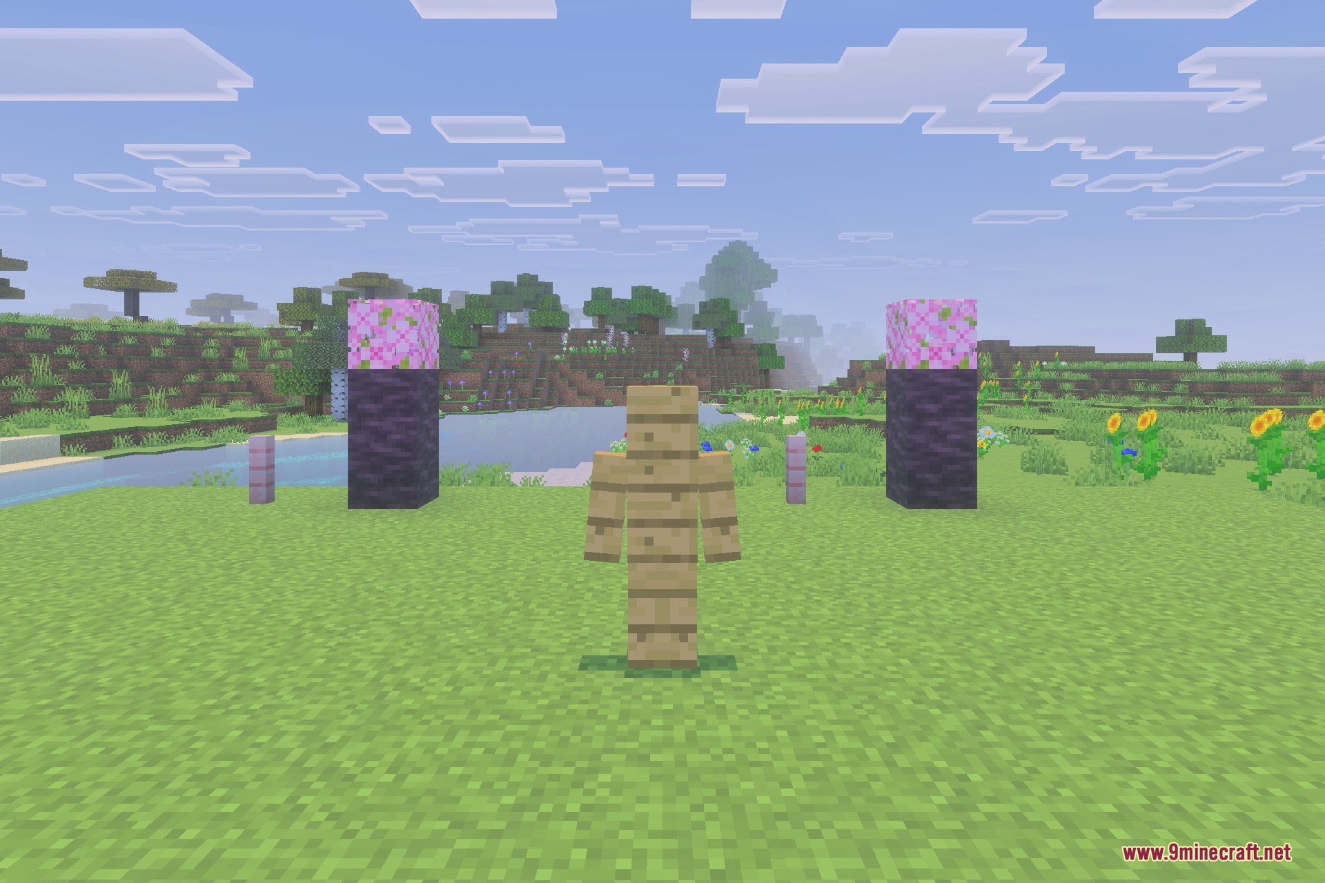 A wooden character from the Cursed Meme mod stands in a field