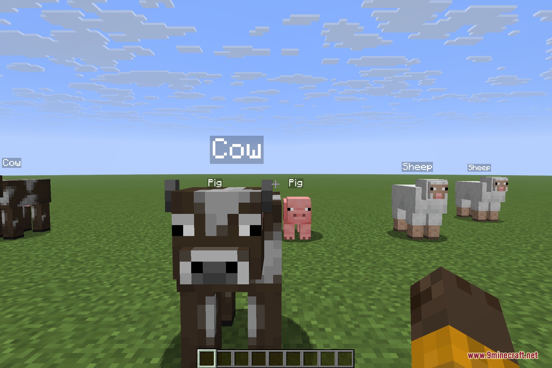 Various Minecraft animals standing on a grassy field with visible floating name tags
