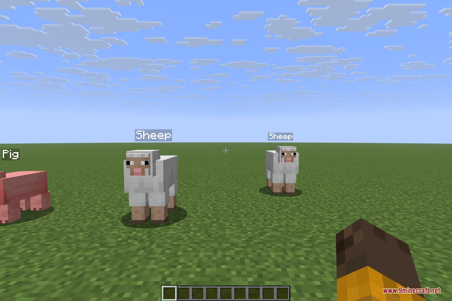 Two sheep and a pig standing on a flat grass field