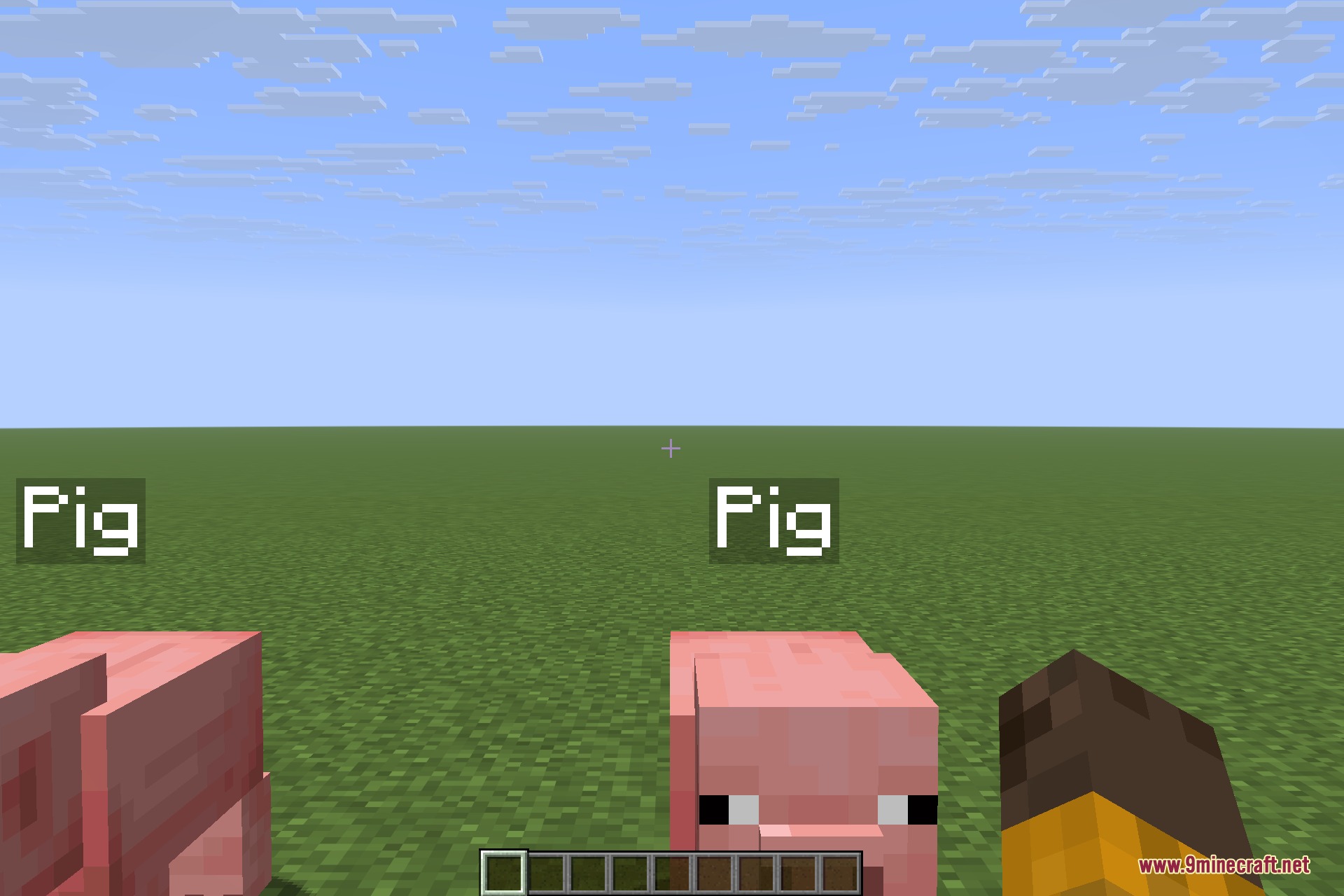 Two pigs with floating name tags standing on a flat grass field
